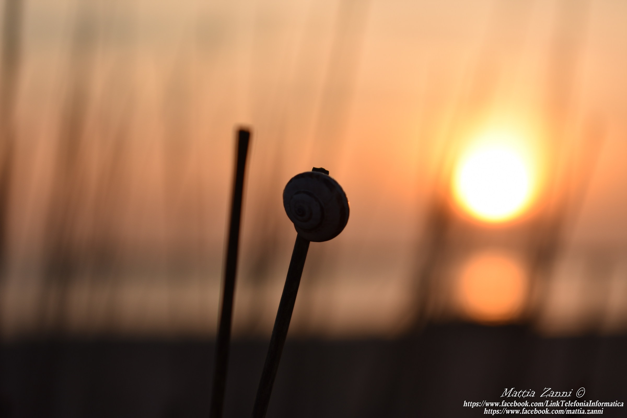 Porto Garibaldi - Alba 12/17/2016