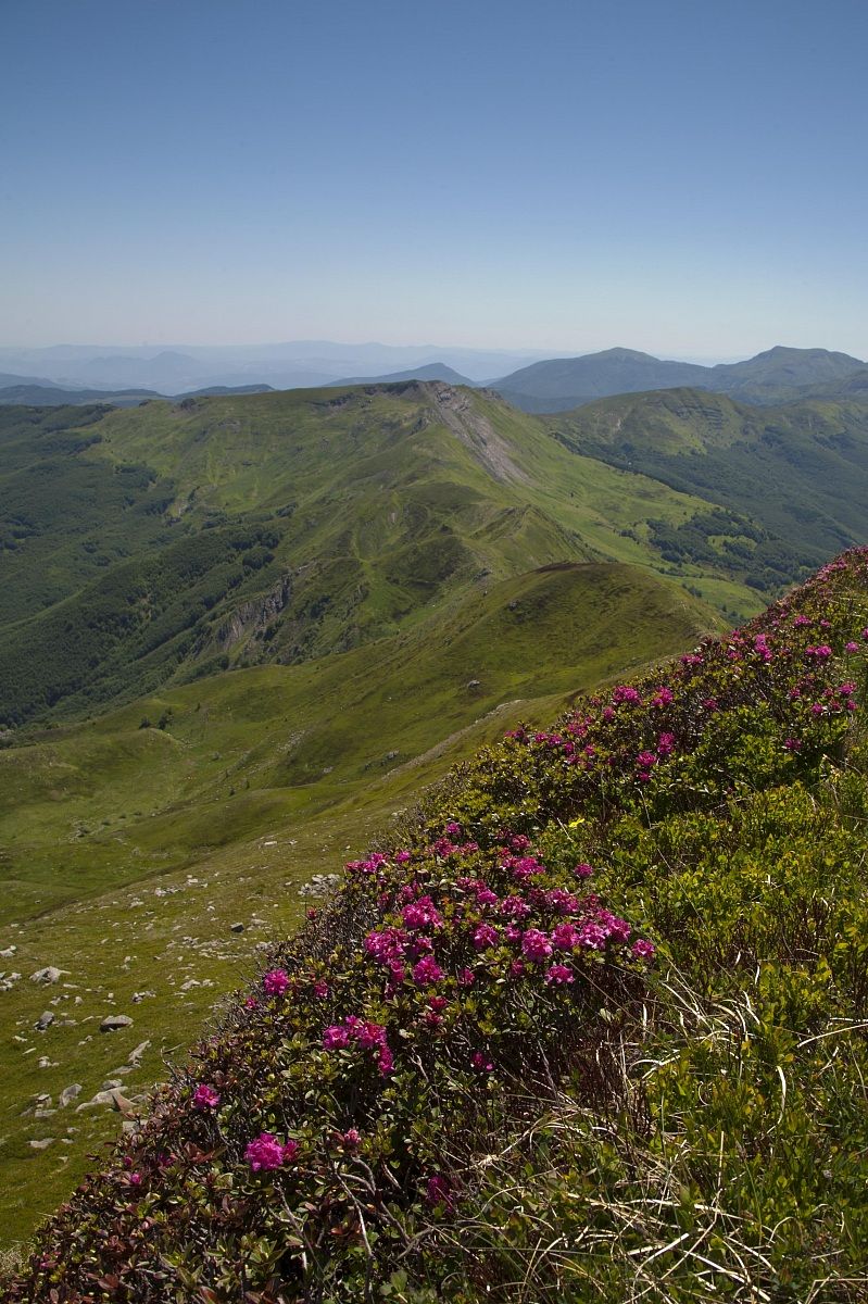 In prossimità del Libro Aperto...
