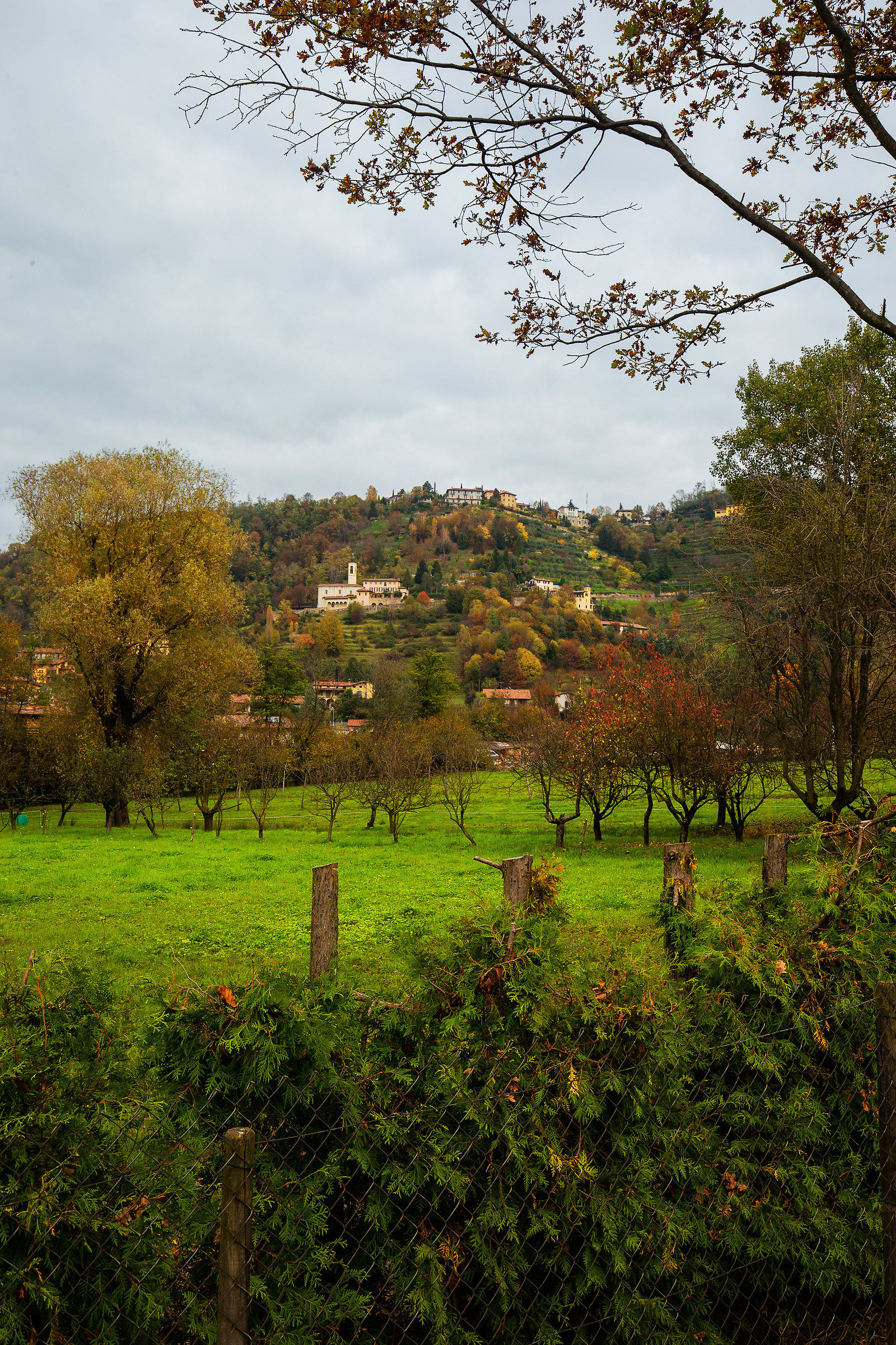 Vista sul Parco dei Colli