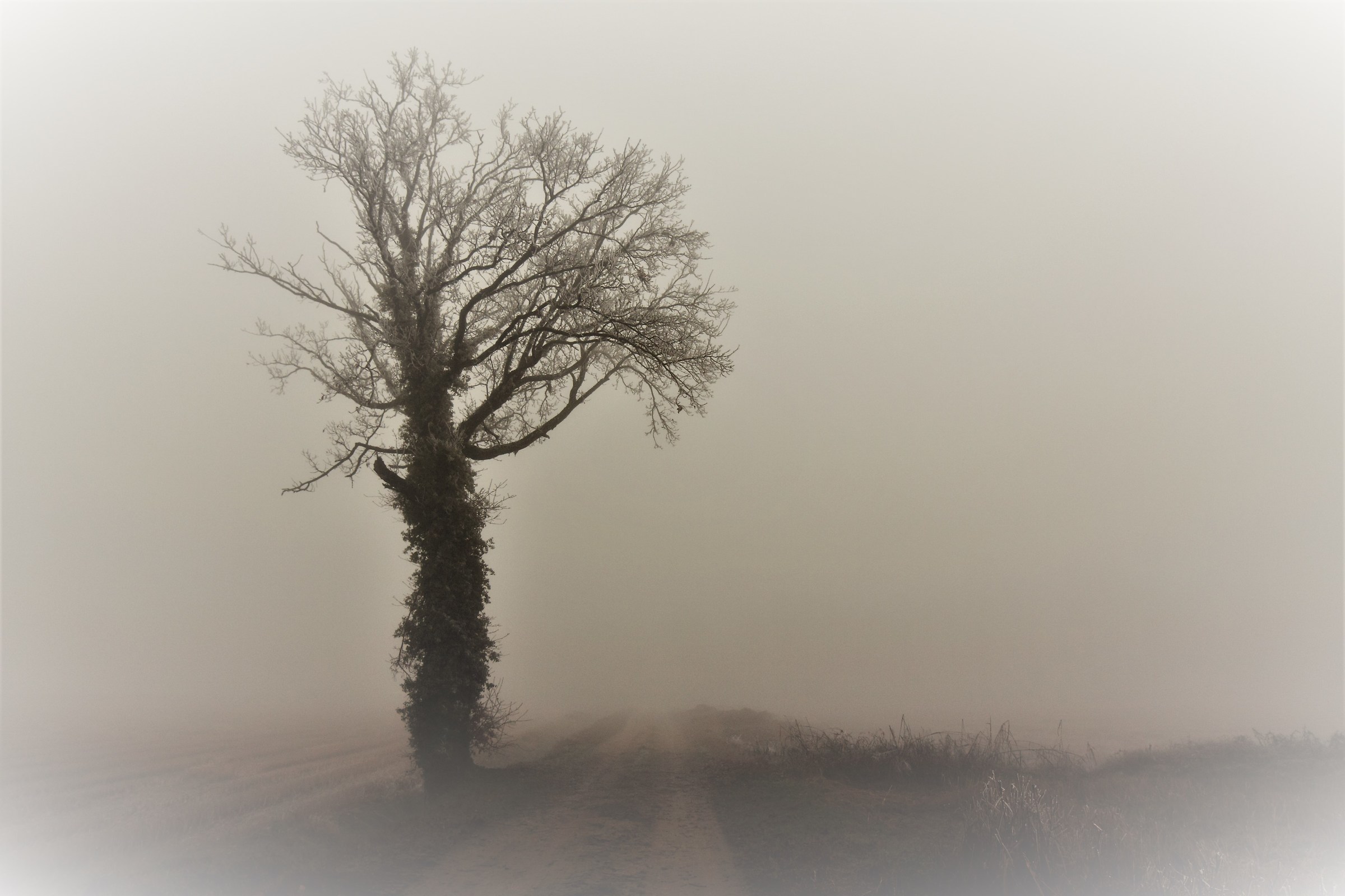 In the end, there is little ...