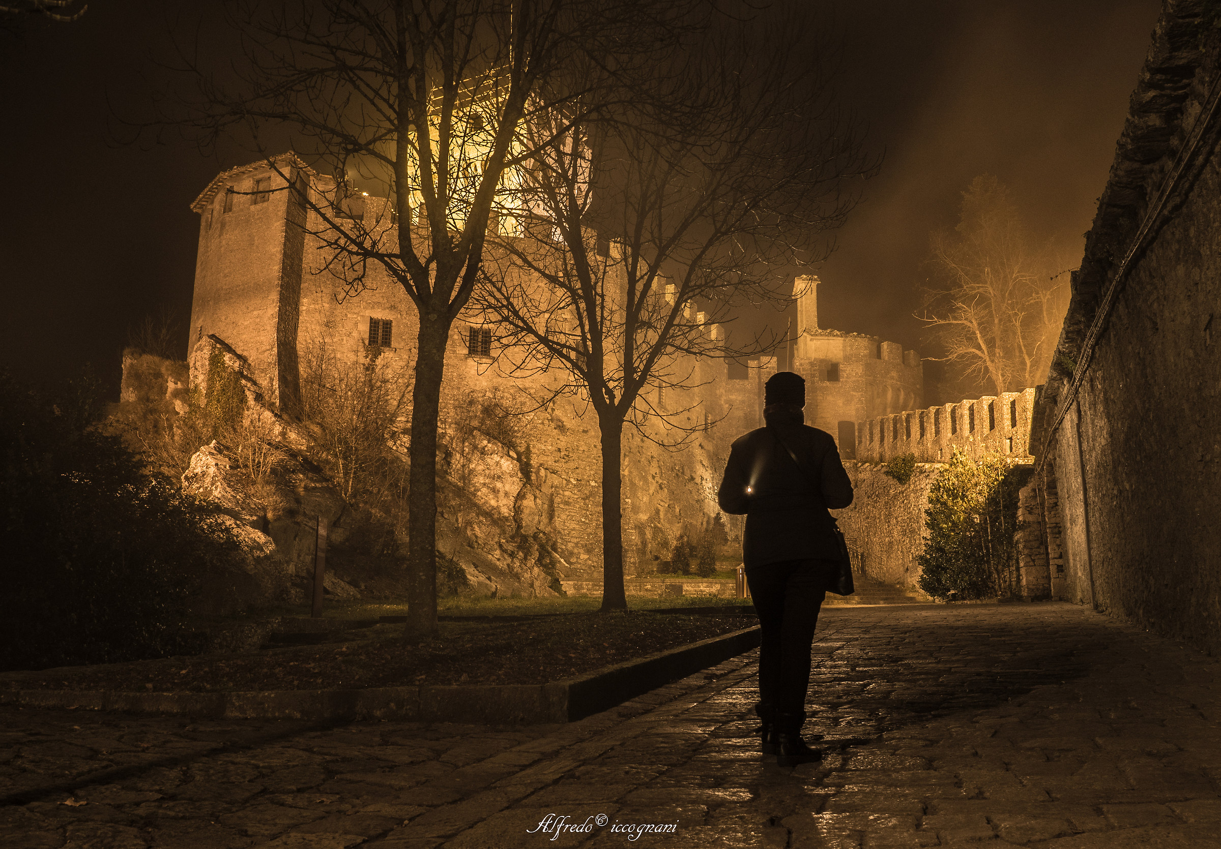 the brouillard