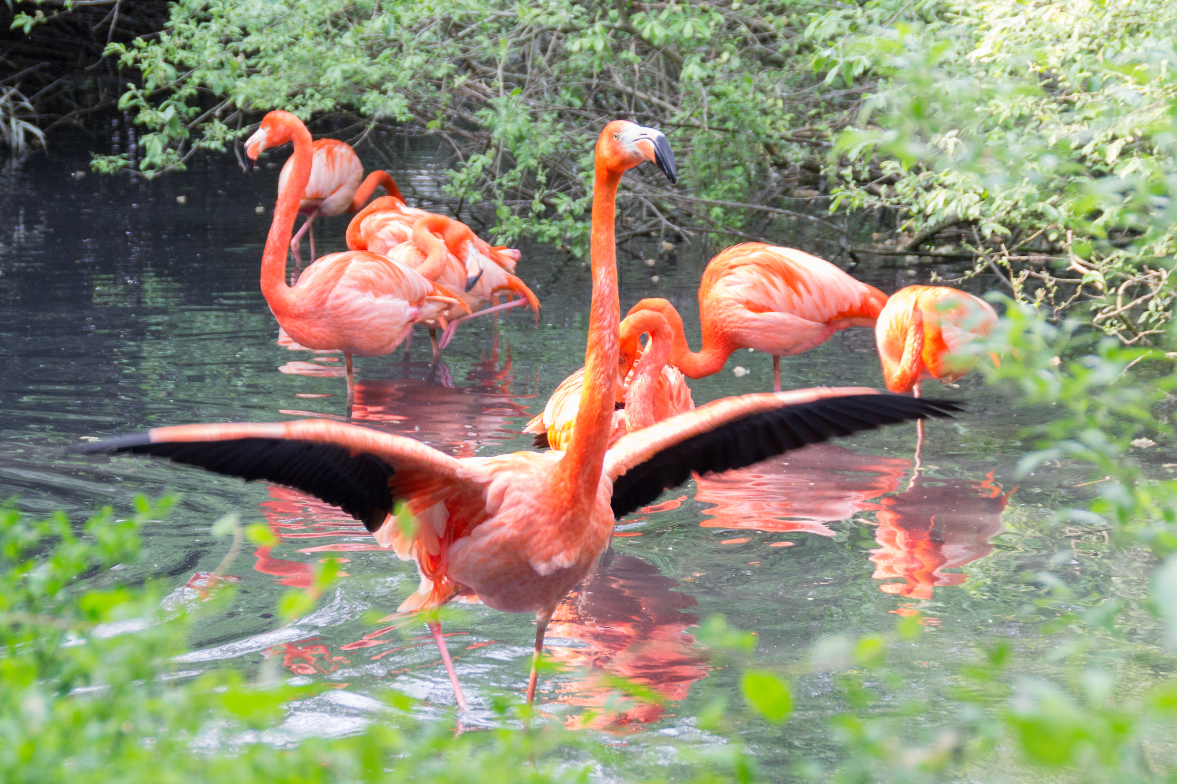 What are you looking?