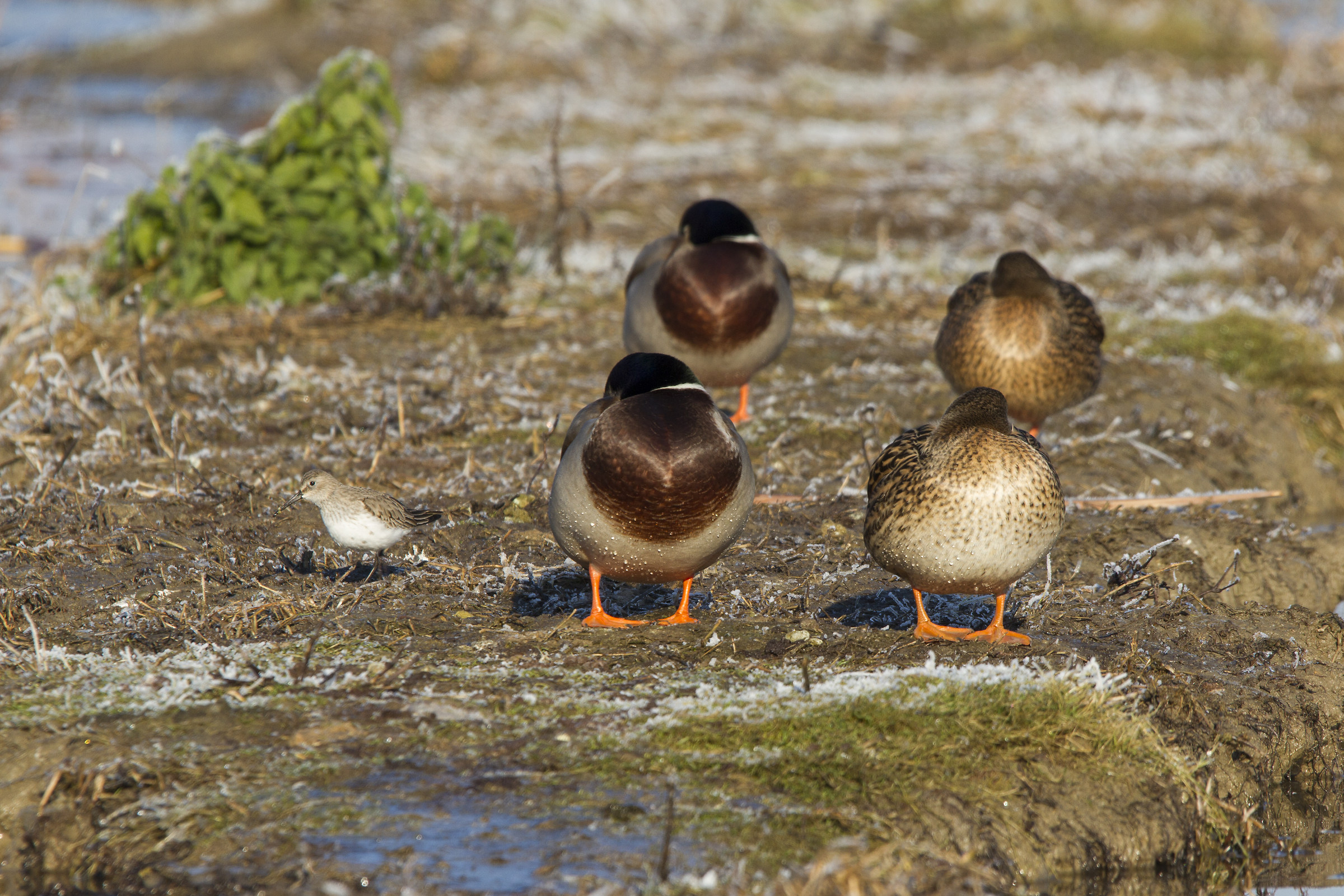 we break the symmetries