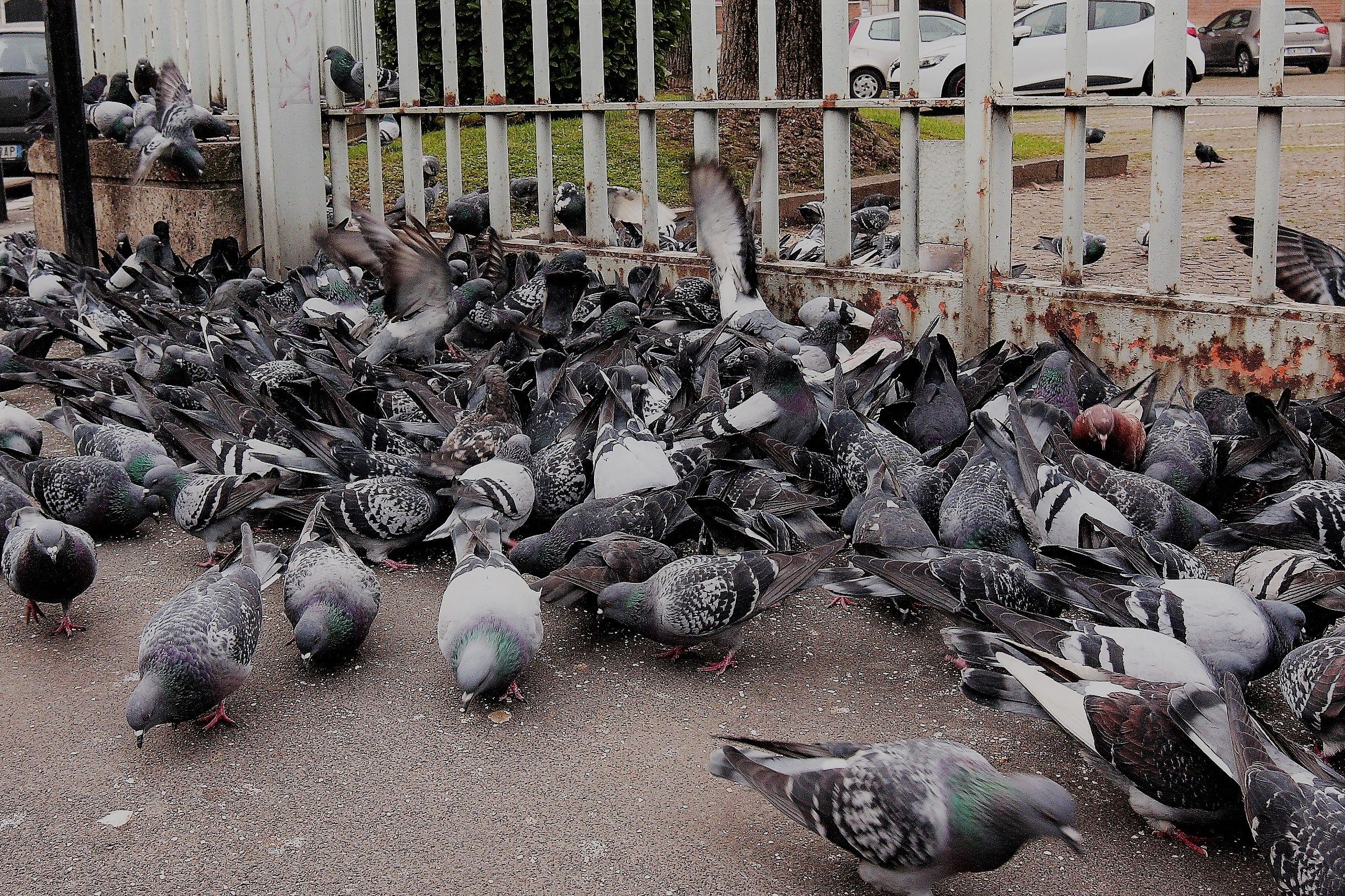 and 'the party here?