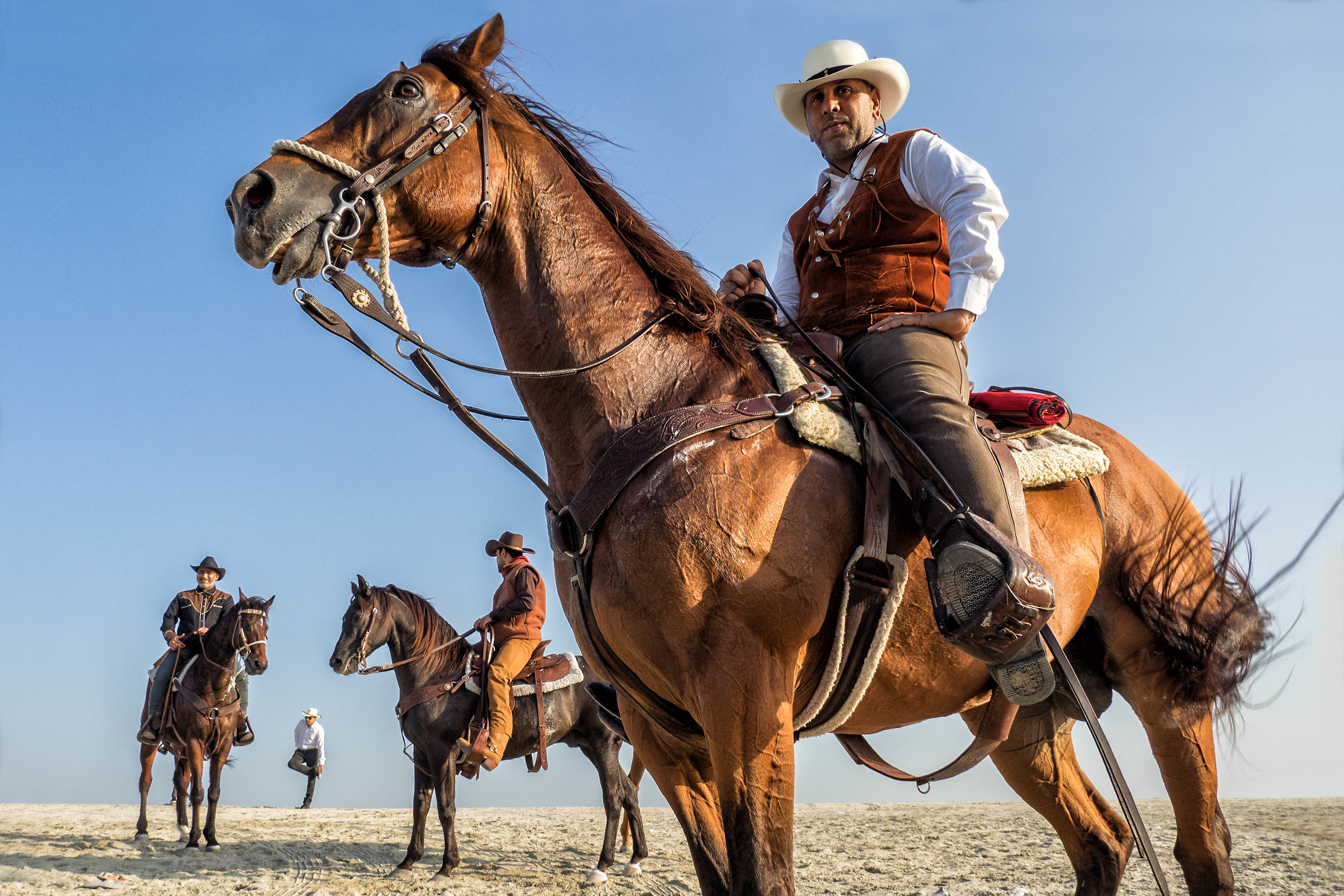 Bahraini Cowboys with arab horses