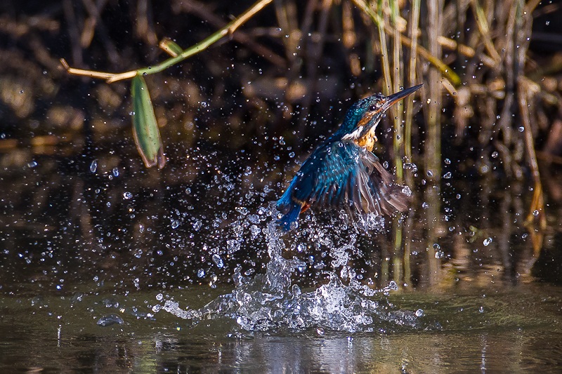 Riemersione ... a vuoto