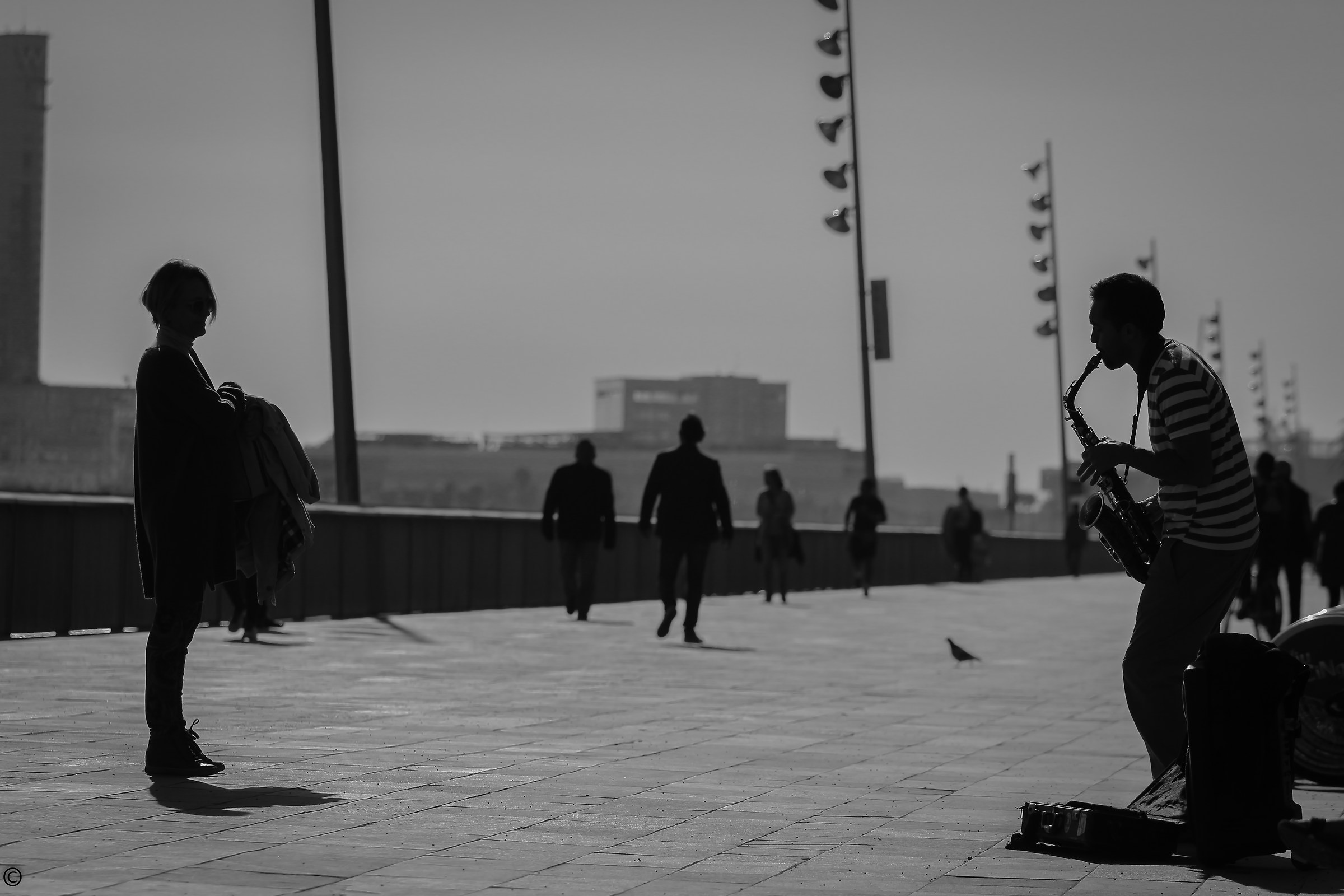 Tu per tu con la musica