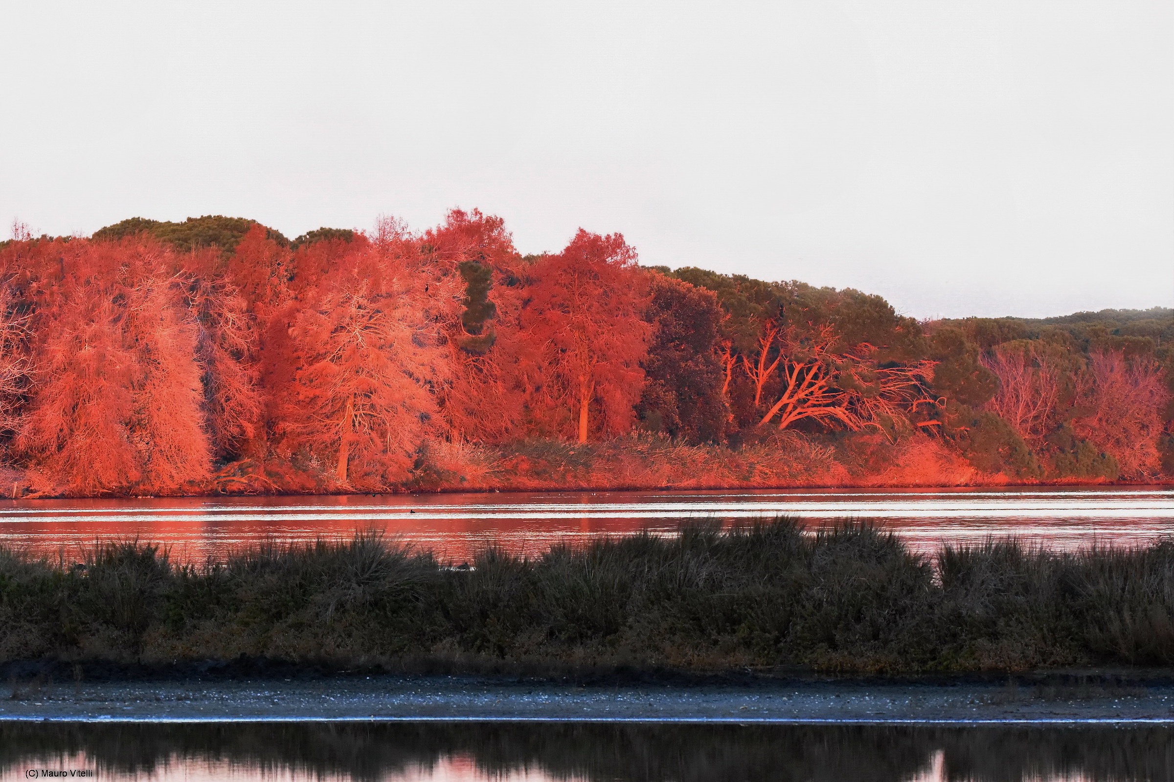 L'alba al lago di Caprolace (Circeo)