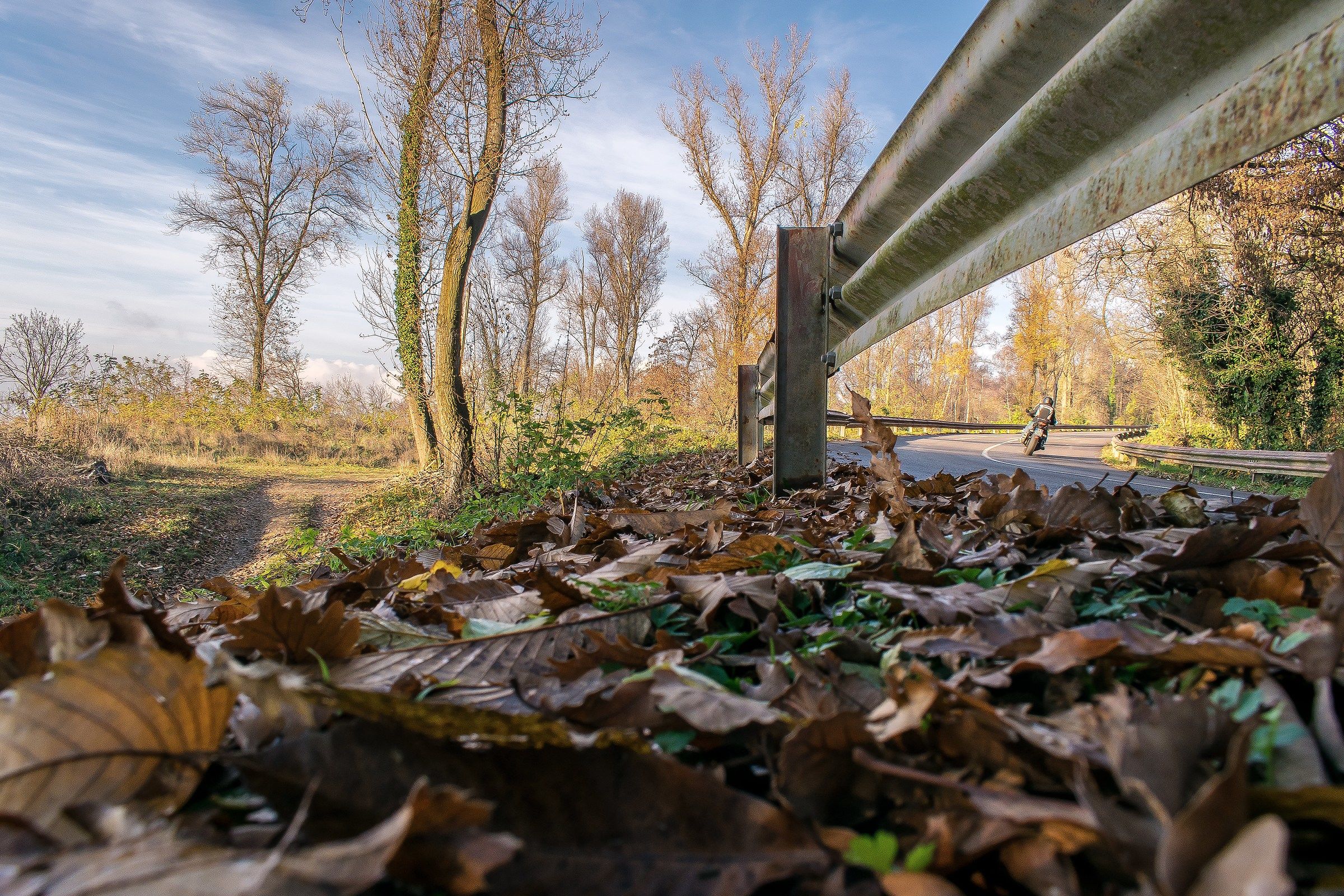 Una curva tra la natura