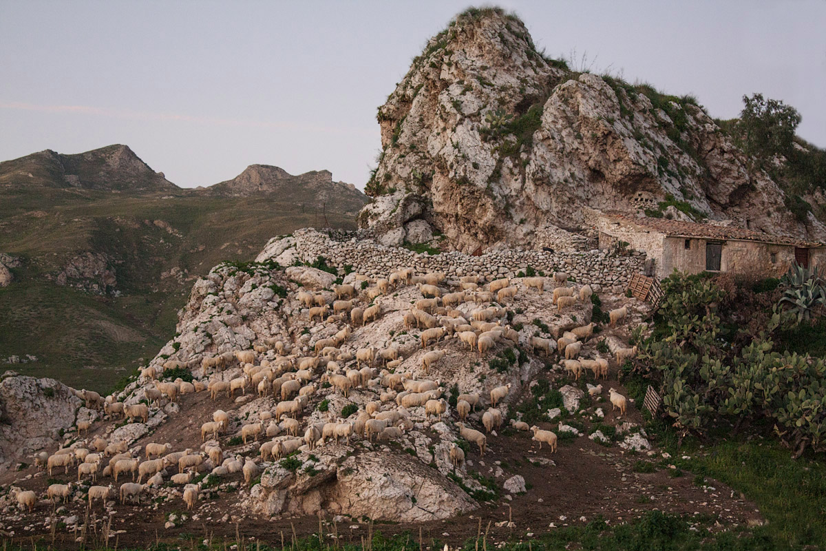 meeting condominium ...