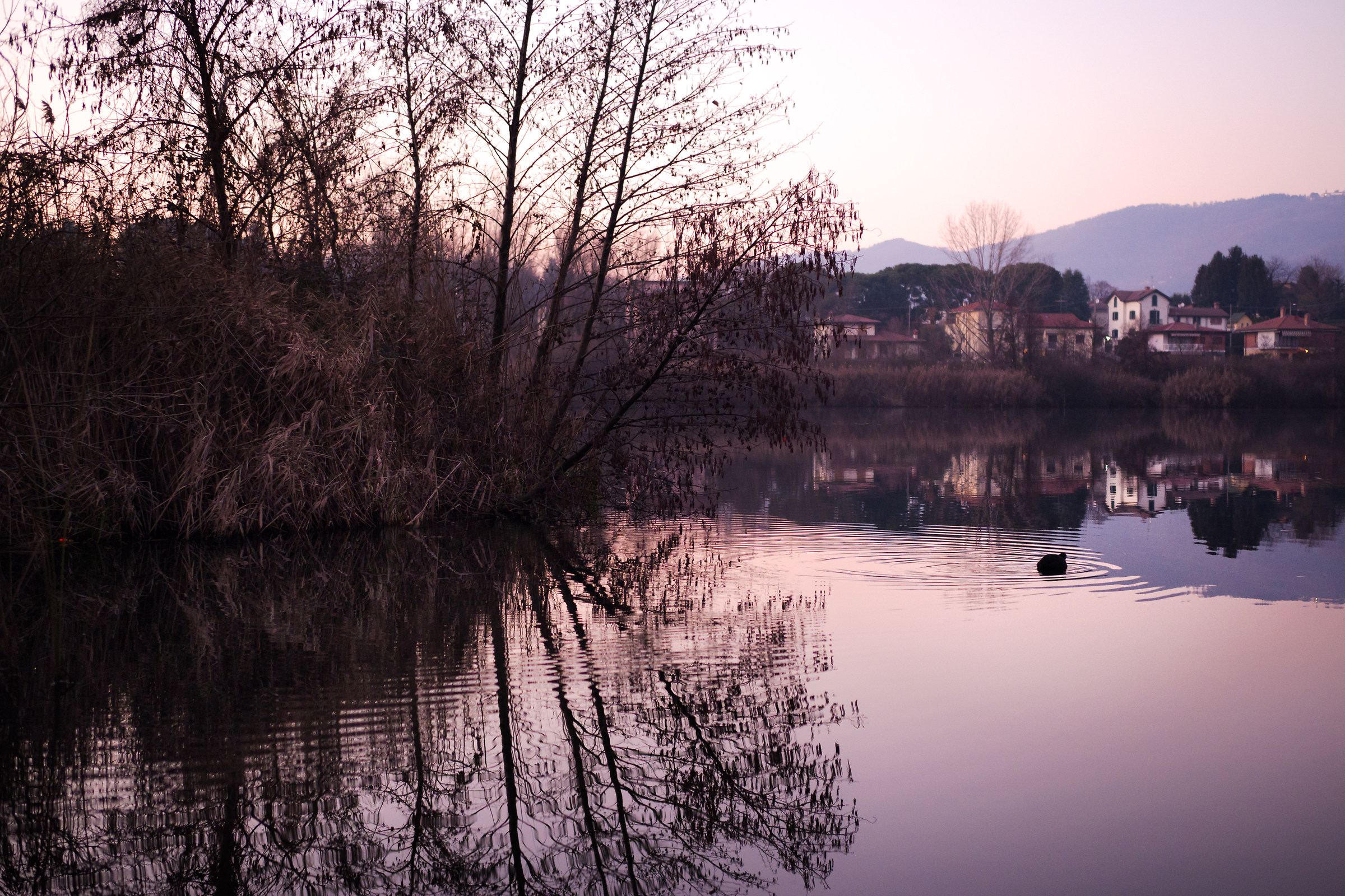 Prove e-m1ii - Lavorabilità File