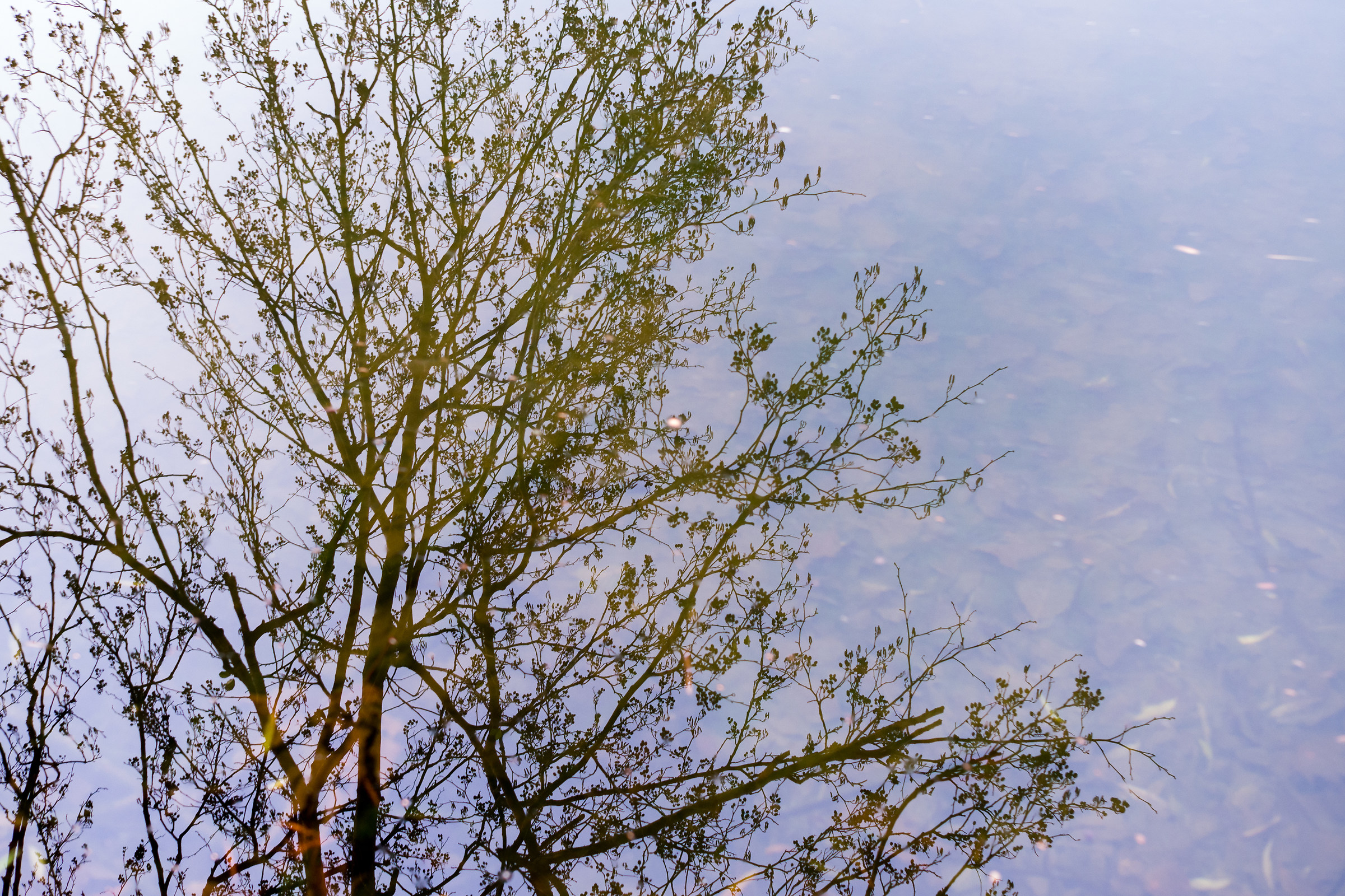 Prove e-m1ii - Tempi di scatto