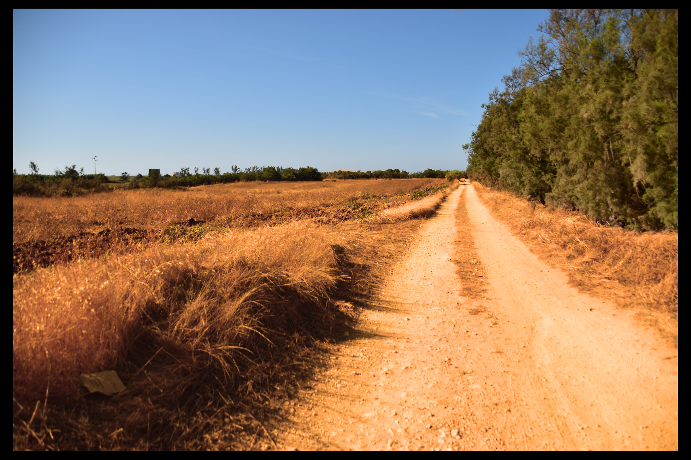 Via per Torre Guaceto