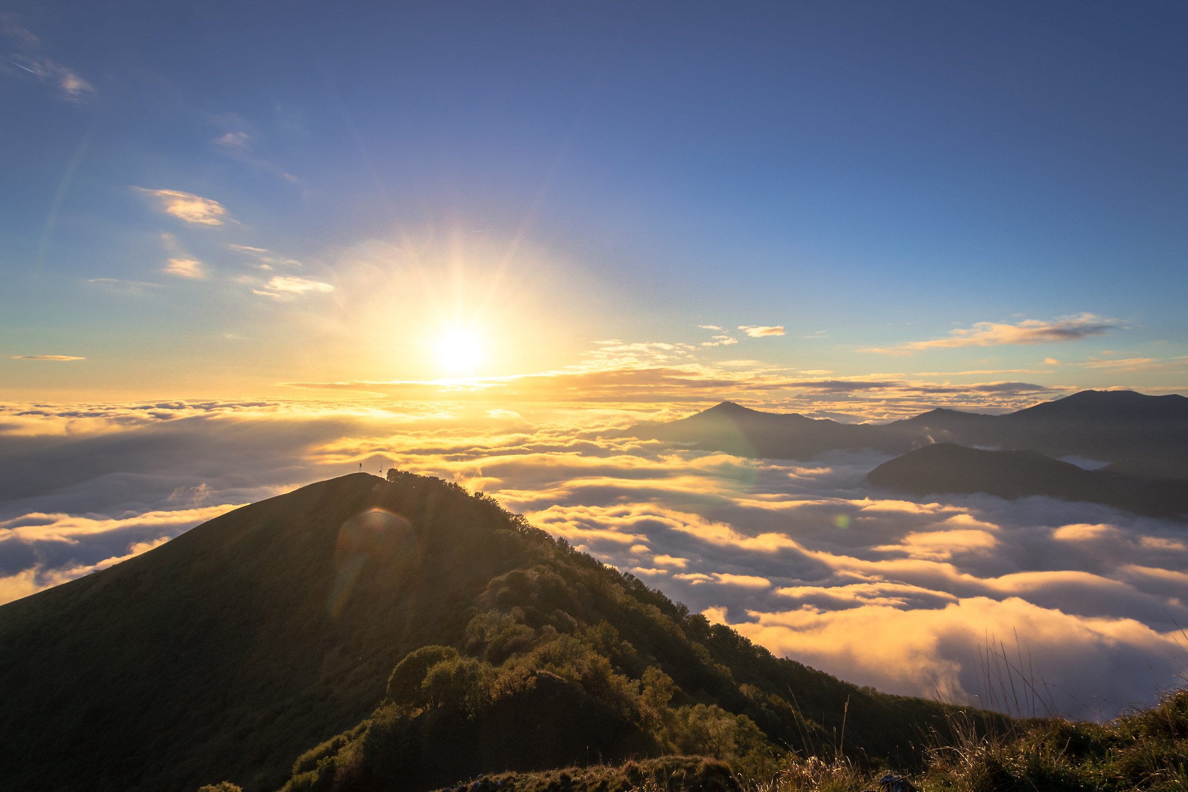 Here I planted the tent