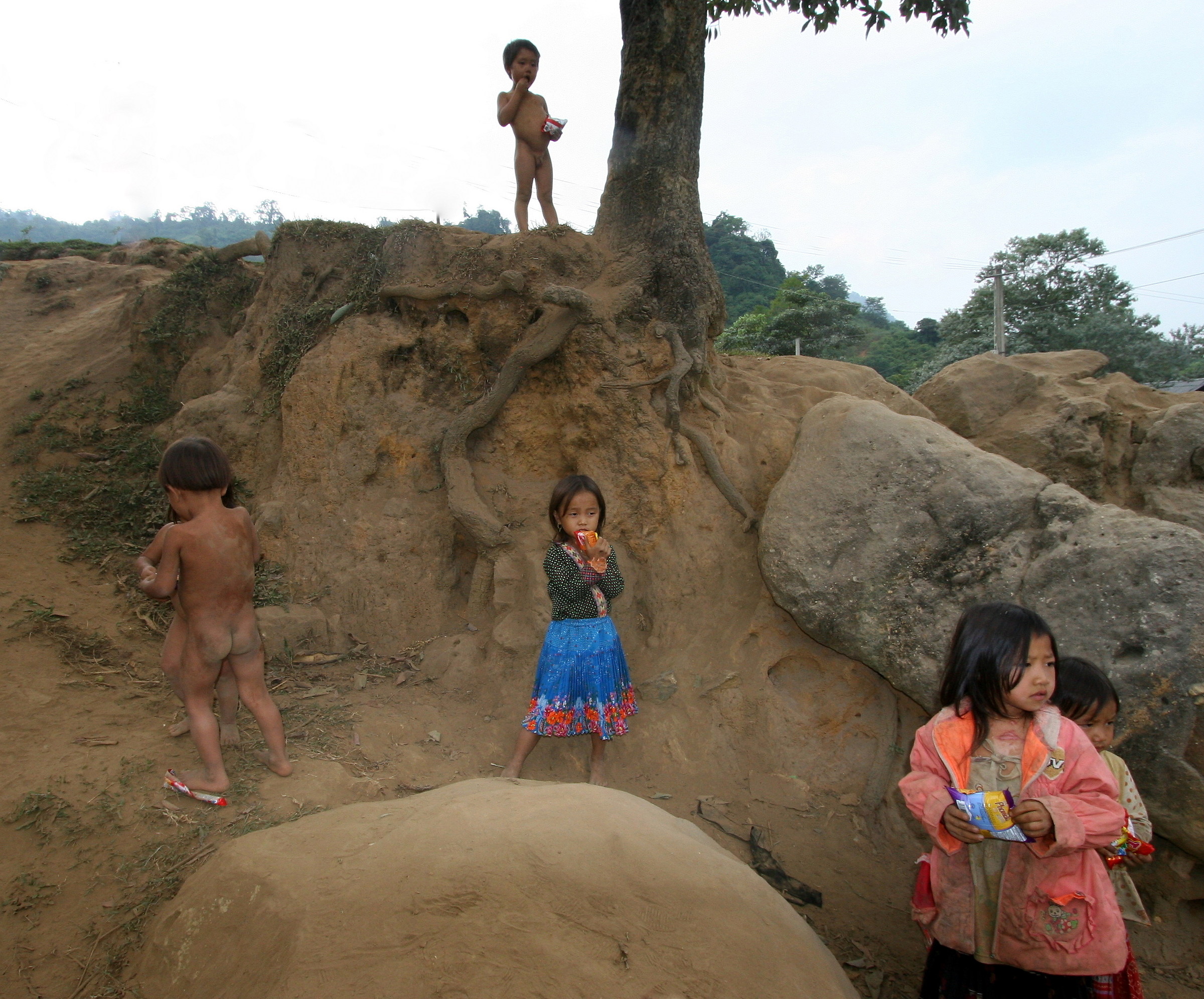 9586 The chips arrived ...........