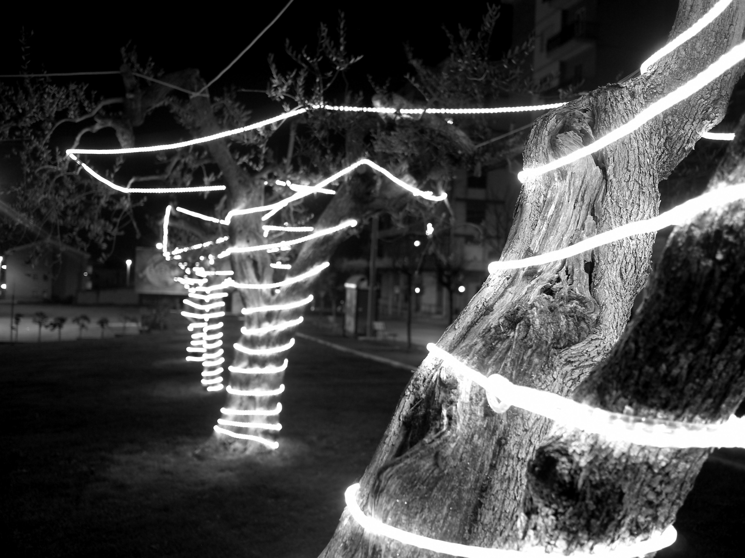 Christmas Lights 2016