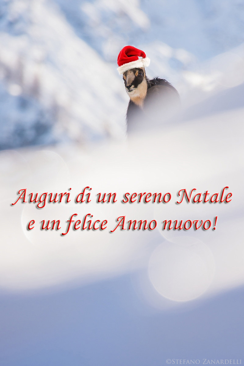 Tantissimi Auguri!!!