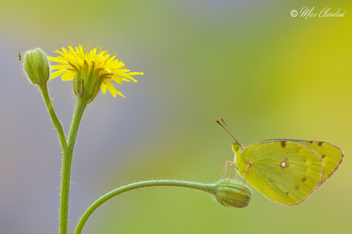 Ooops! I do not hold me!