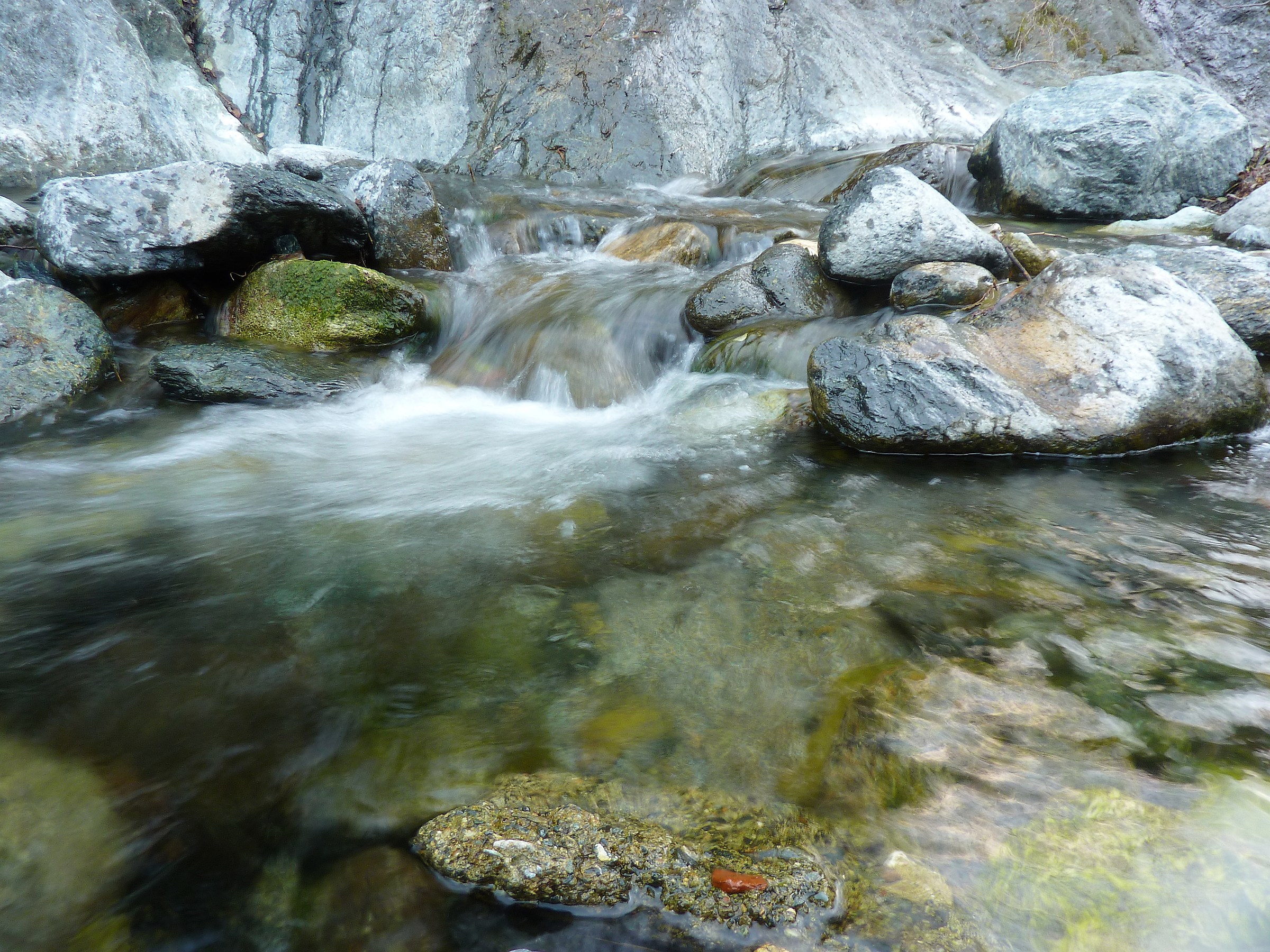 Torrente Branega (ge)