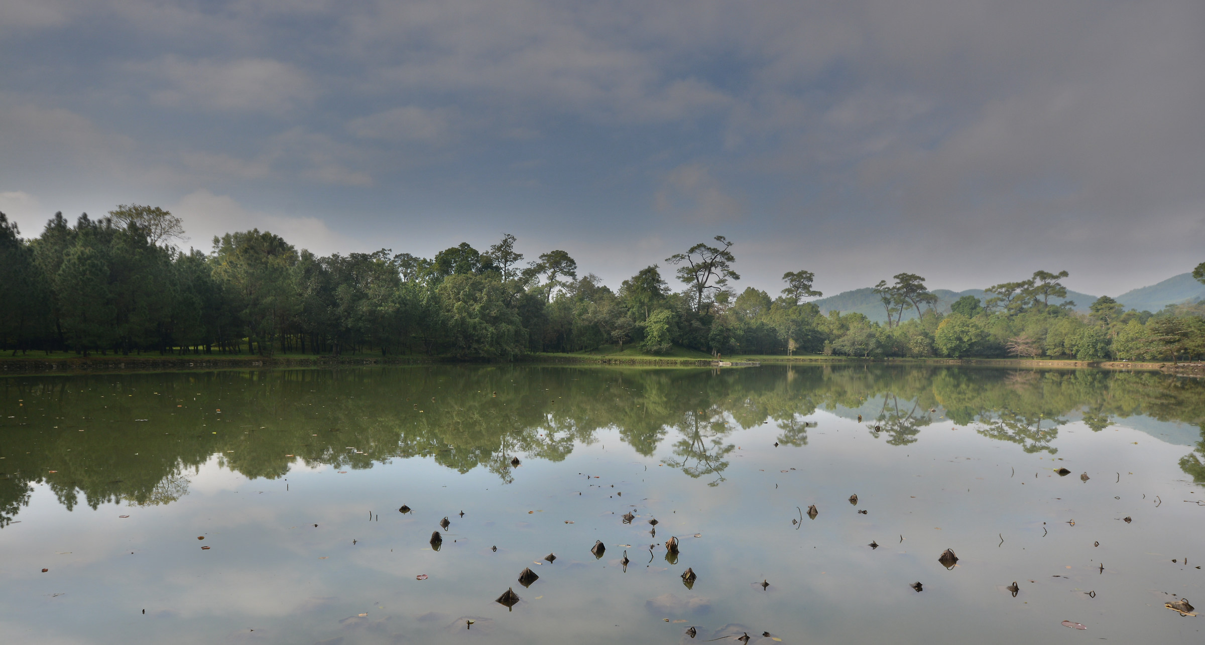 reflections on the lake