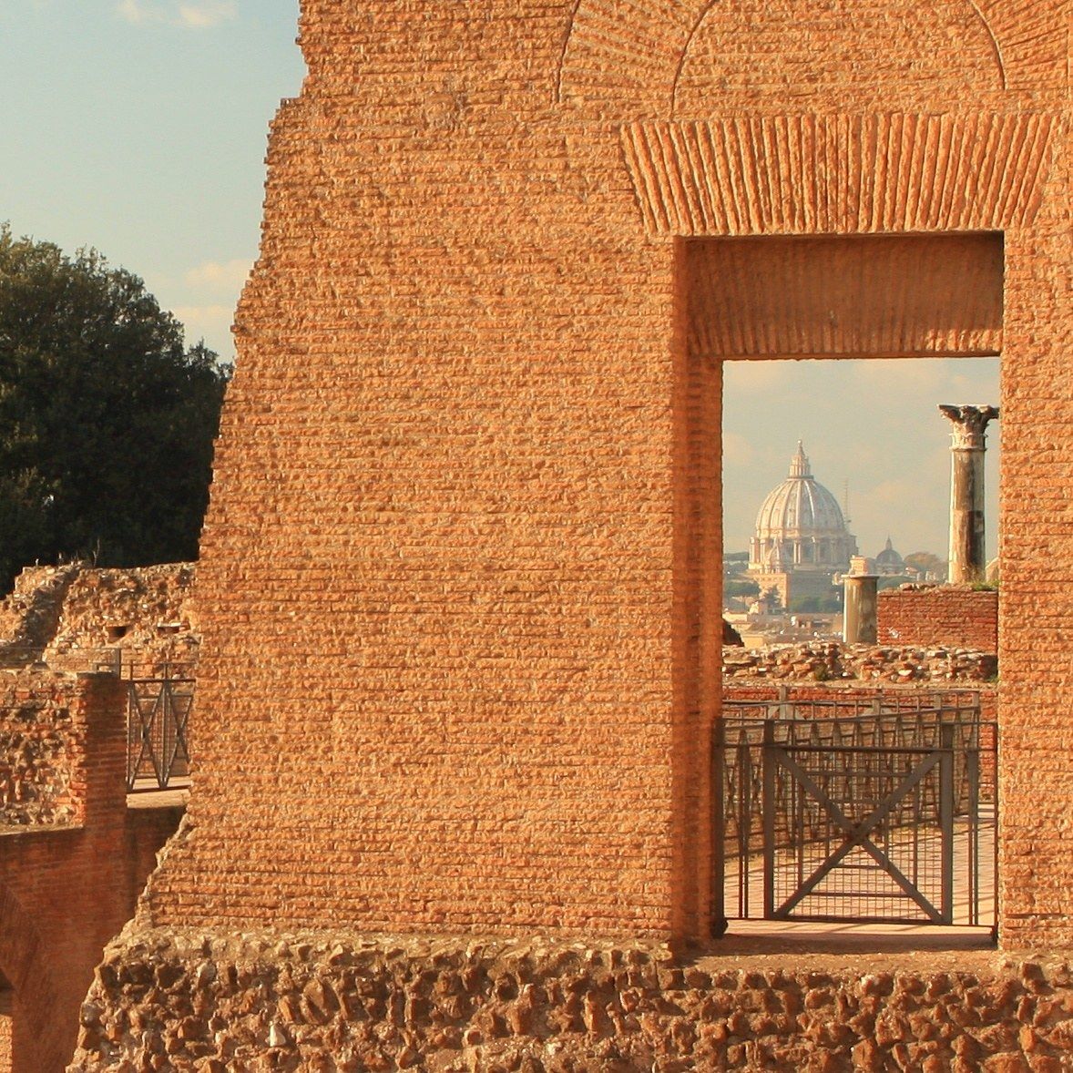 Nuovo punto di vista