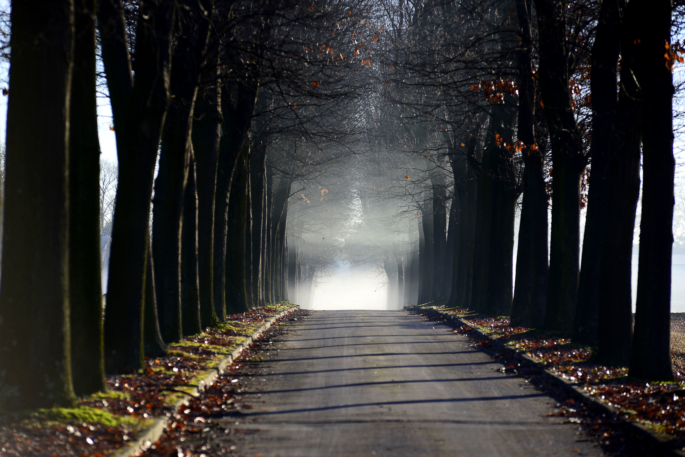 The path to the unknown