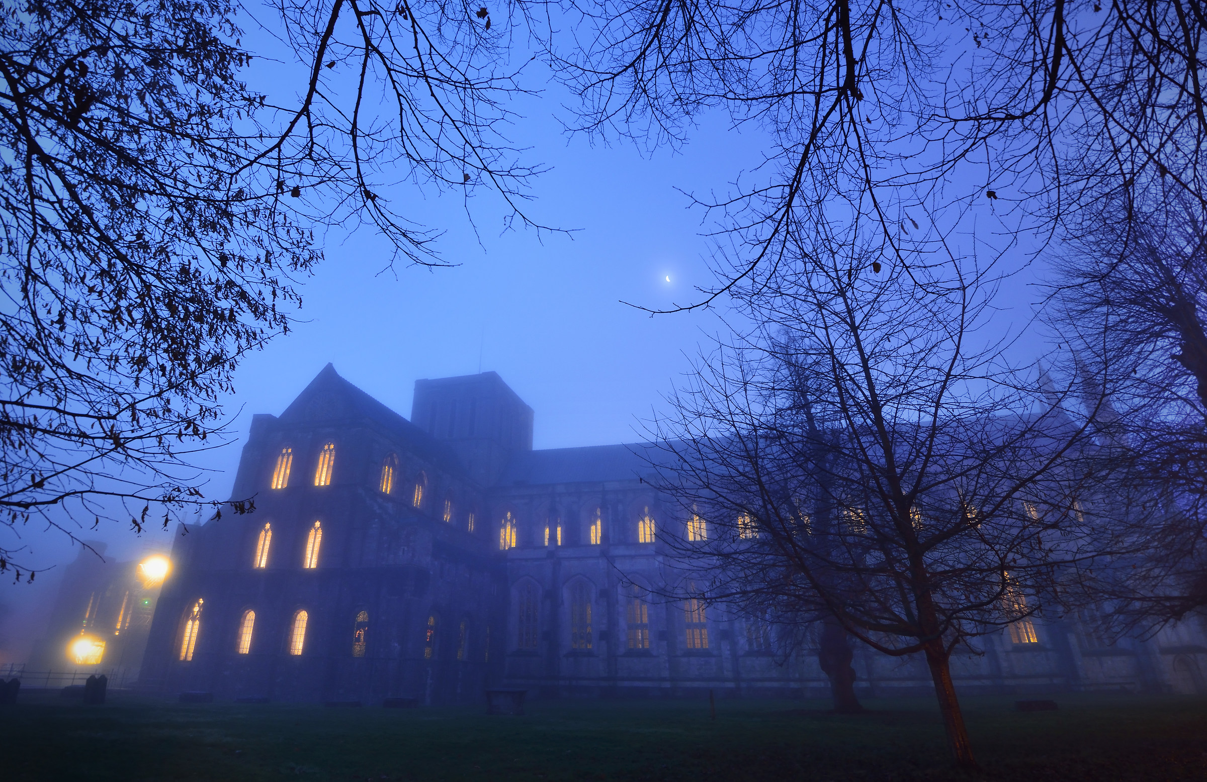 The Behemoth Awakens...