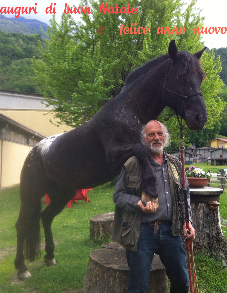 Auguri a tutti   Buone feste!!