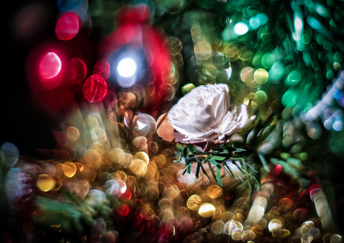 Christmas Tree Bokeh