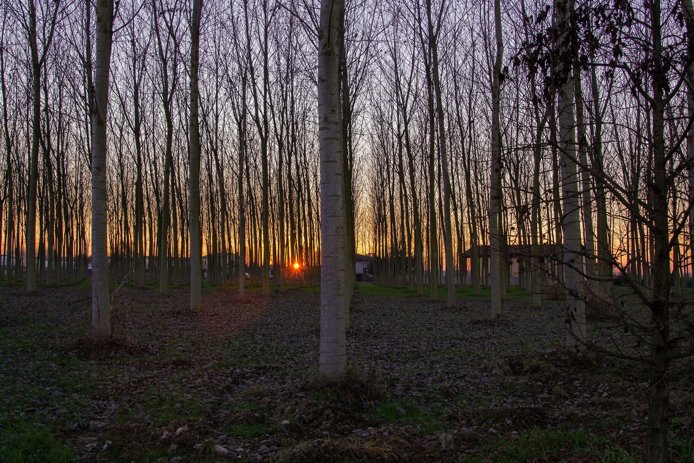 Quando il sole scompare il cielo si infiamma