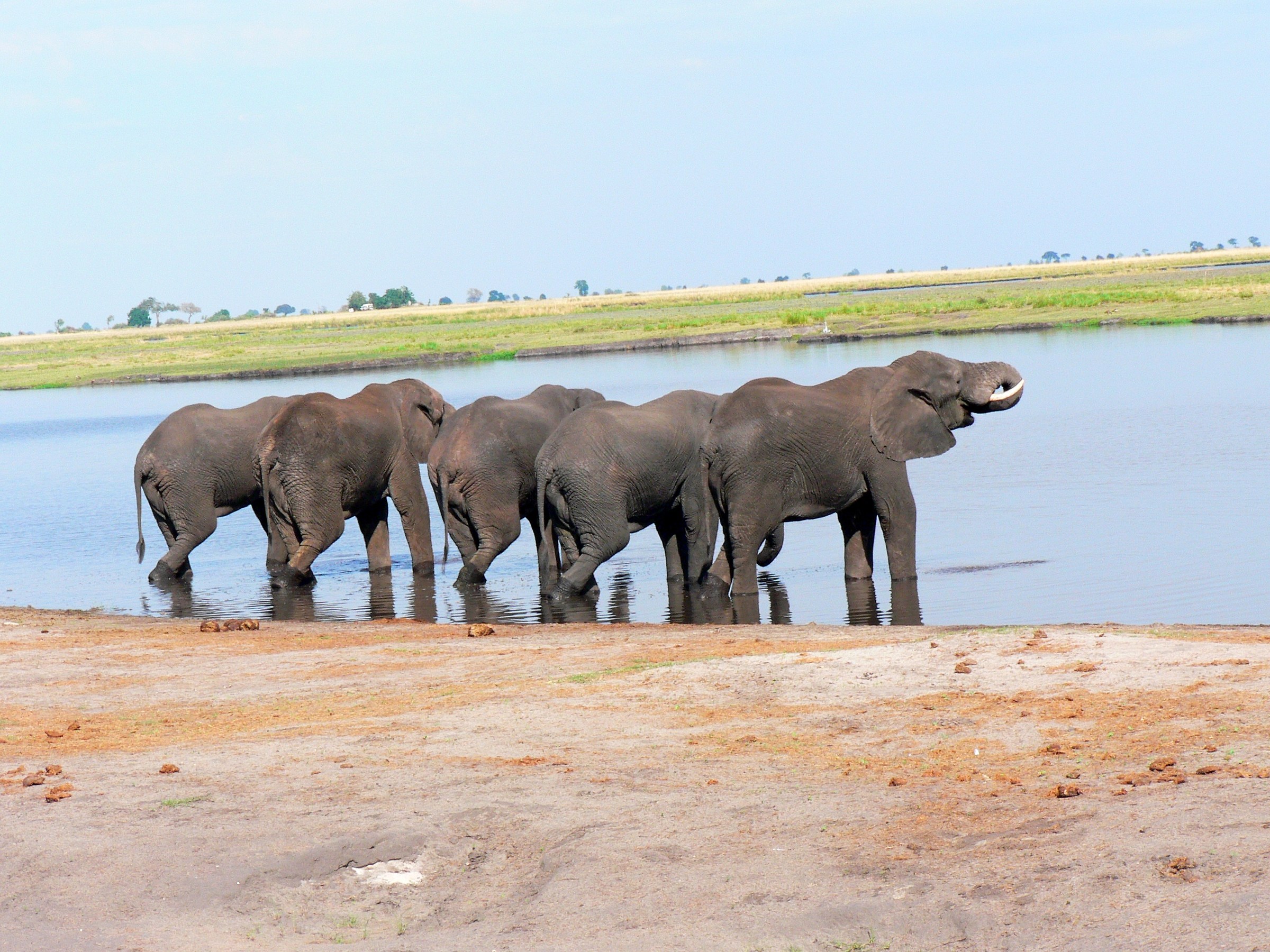 una bevuta in compagnia