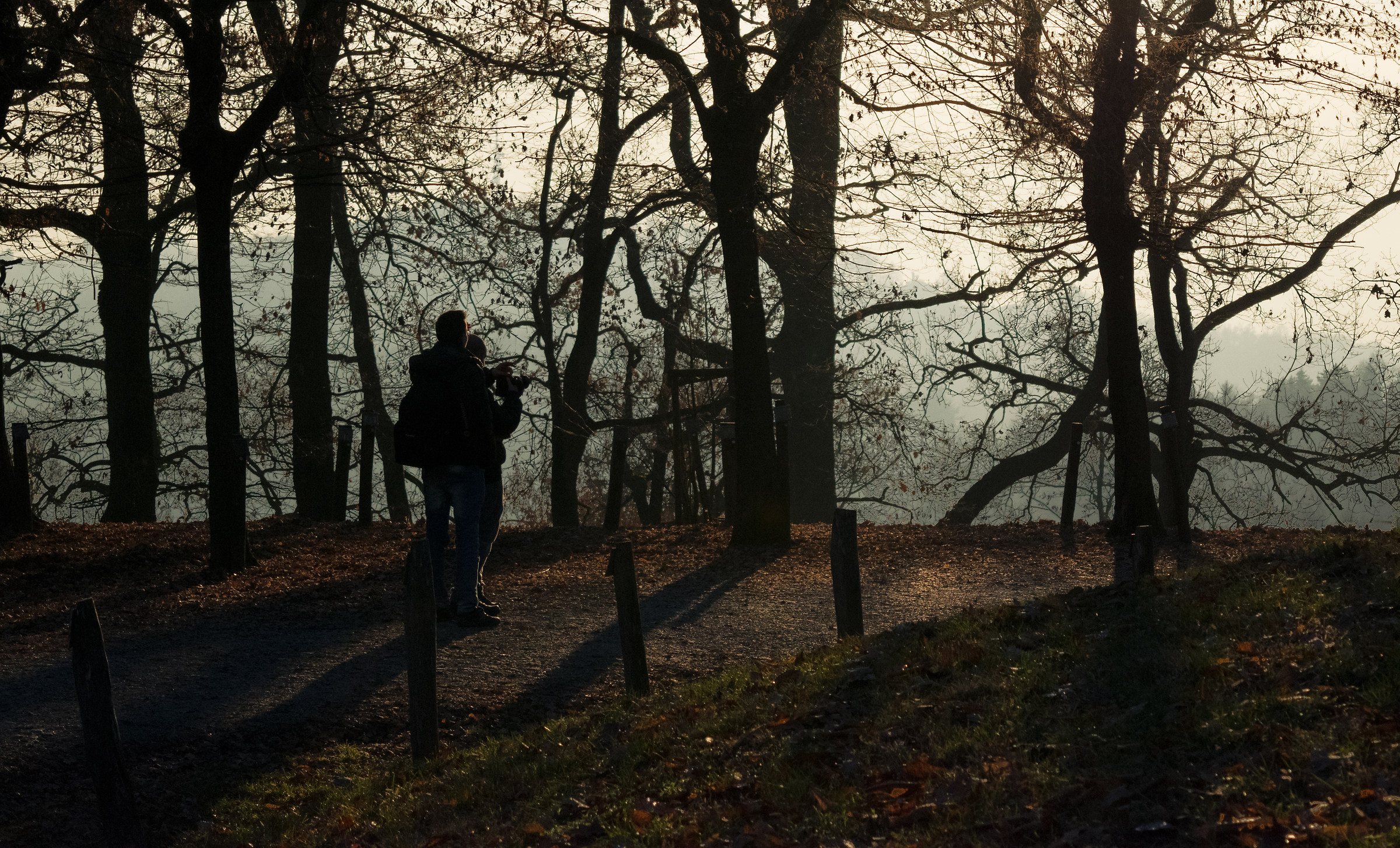 Uno sguardo oltre l'inverno