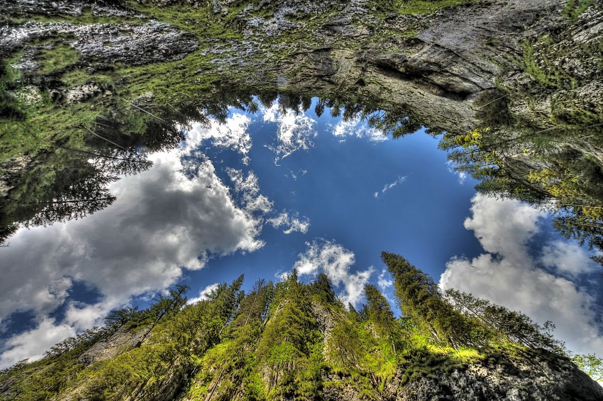 Serrai Sottoguda - upward view -