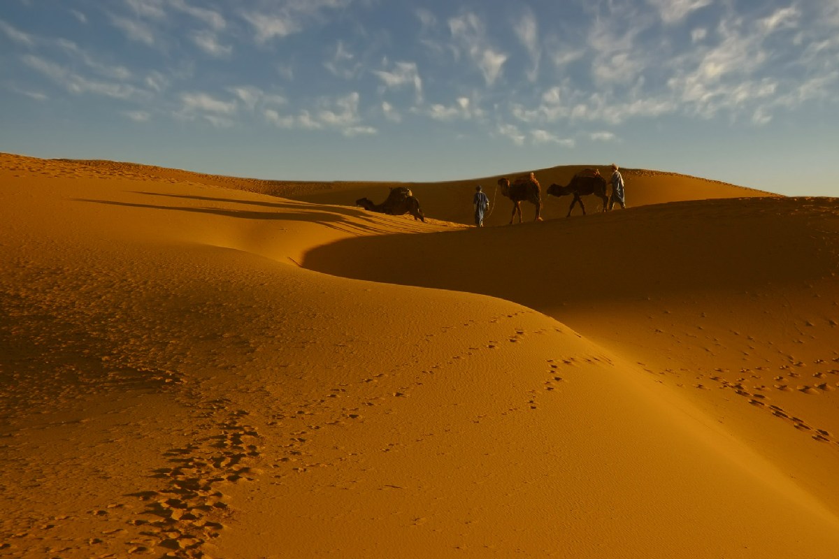 Back to the caravanserai