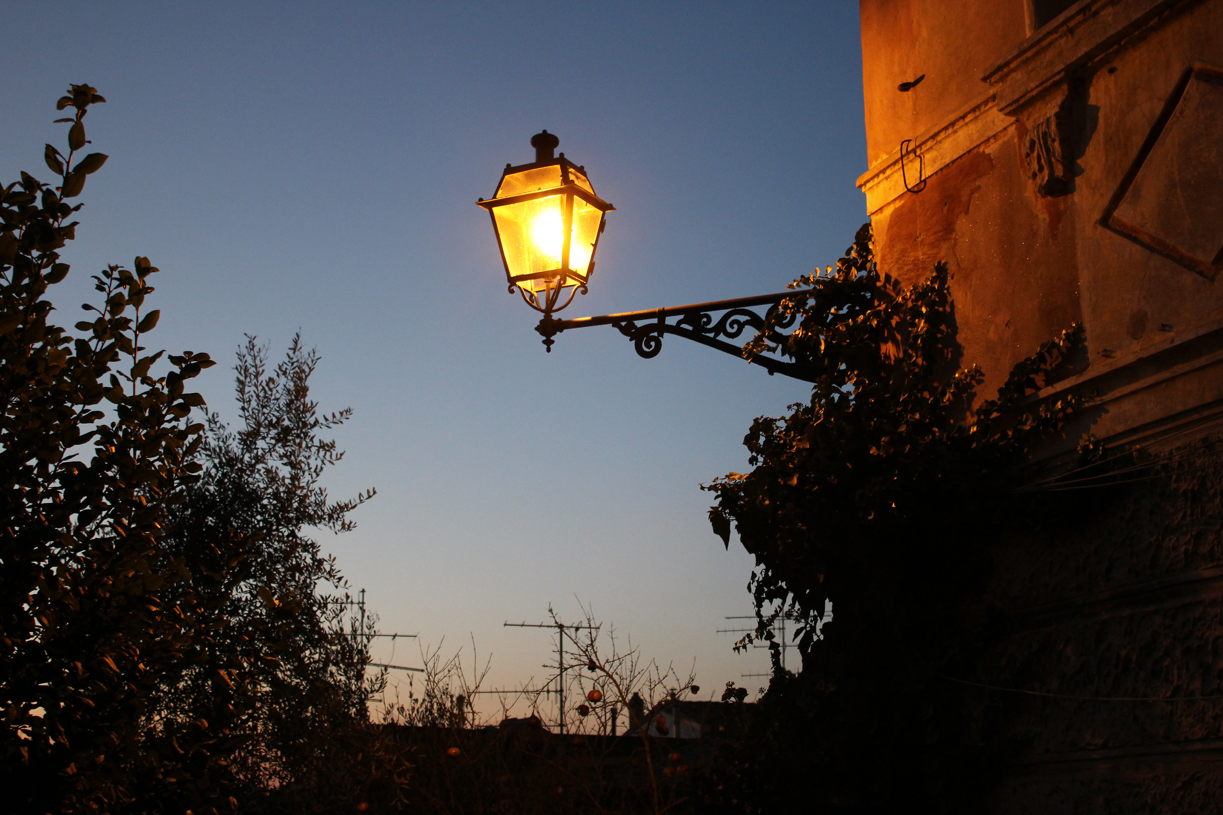 Lantern at sunset