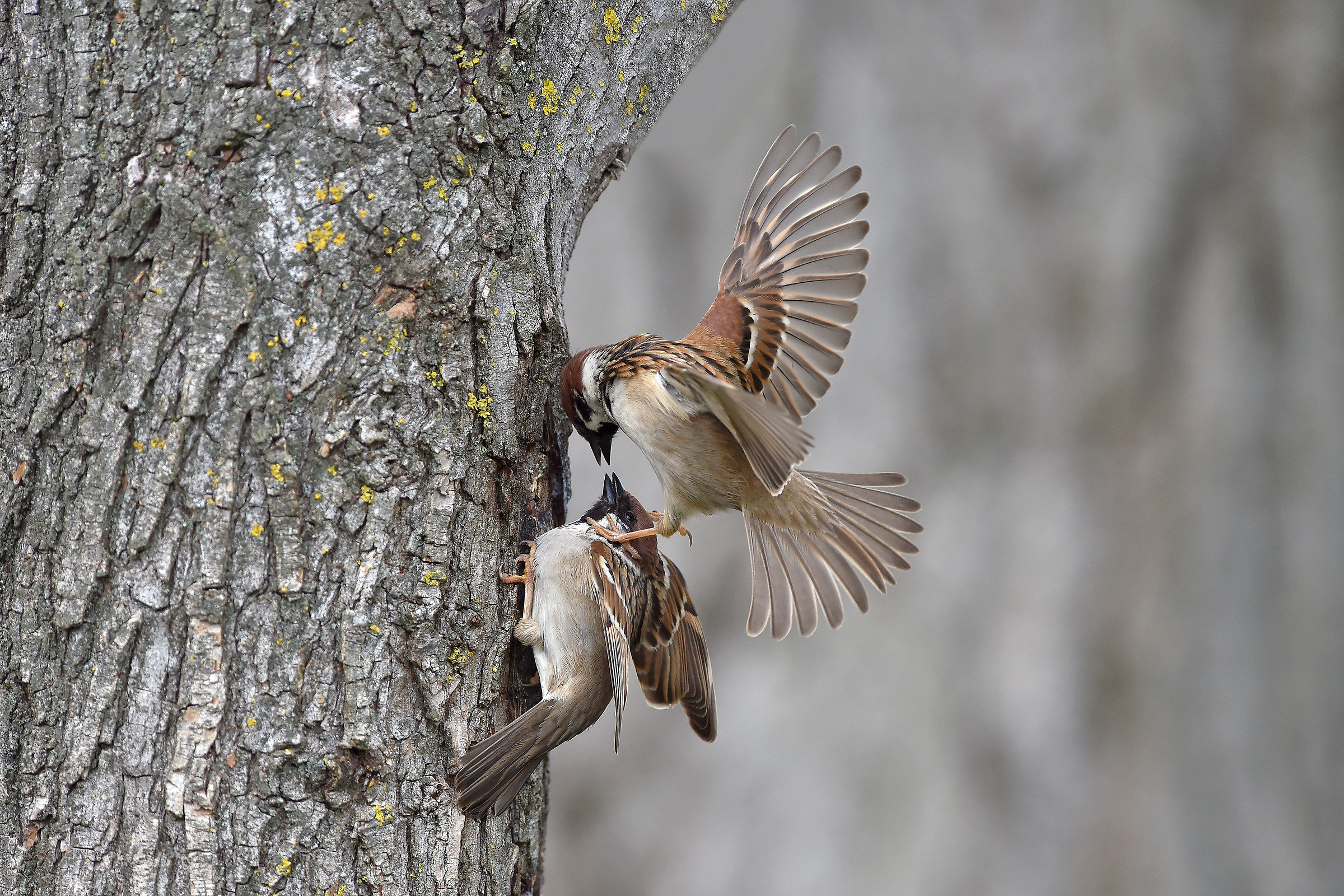 We do not expect the wind