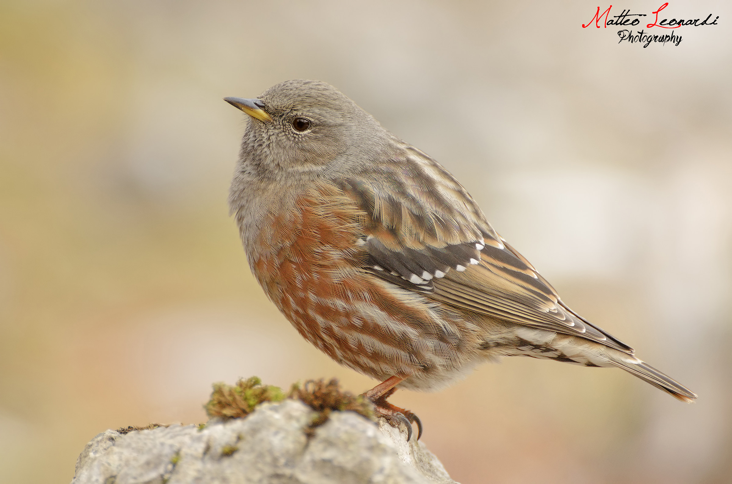 Sordone - Apuan Alps