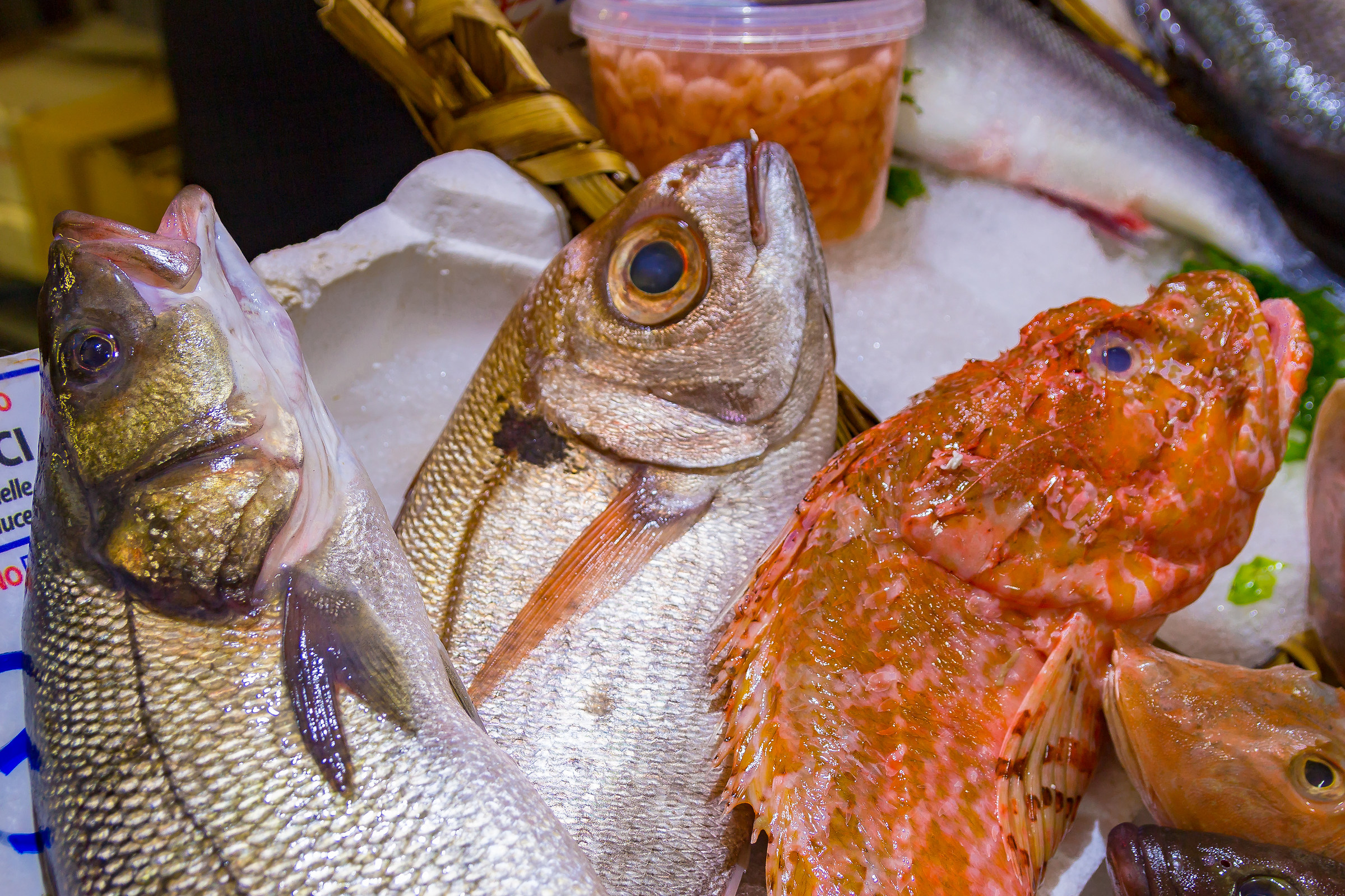 Banchi del pesce per il cenone della Vigilia