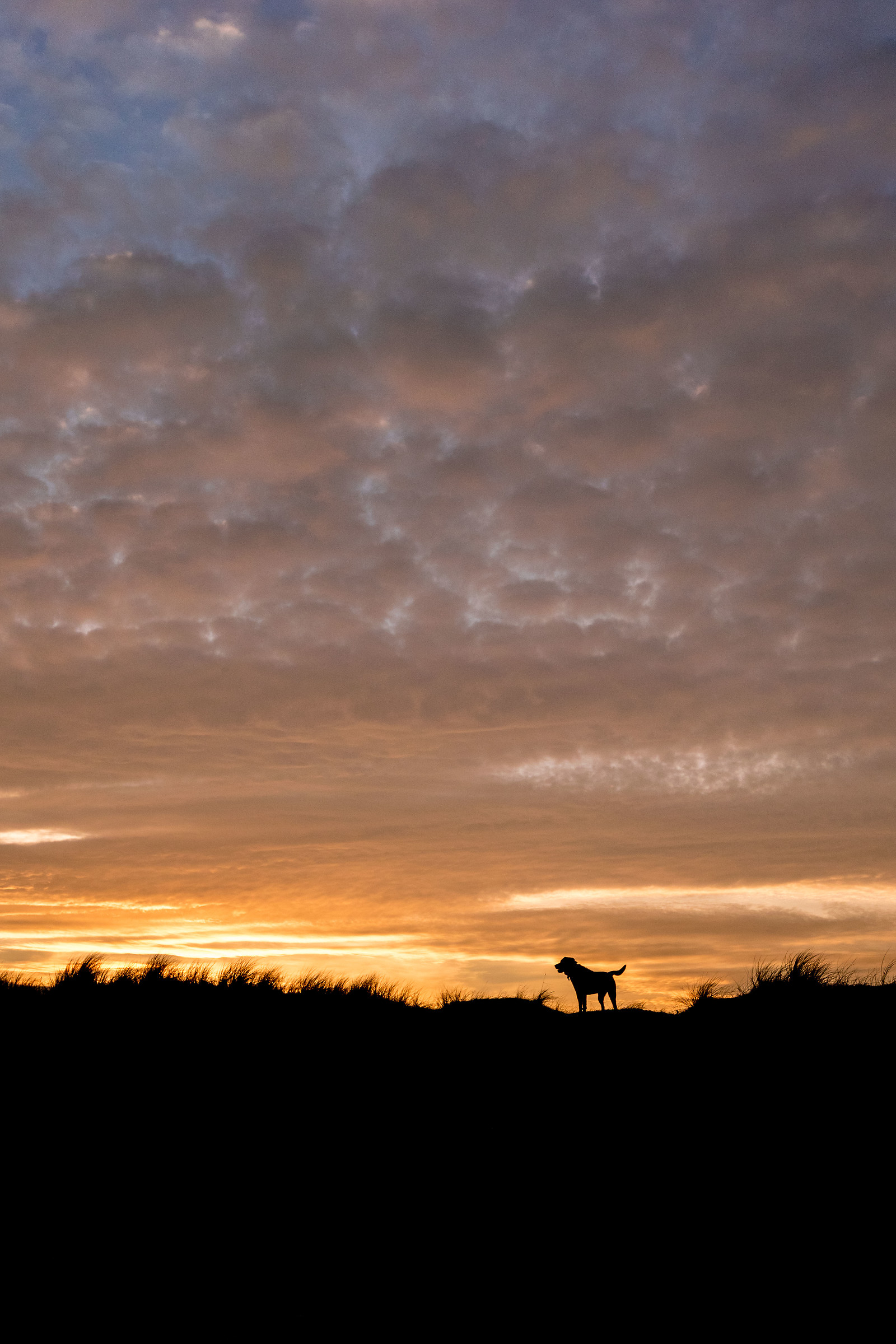 Sulla sommità delle dune al tramonto