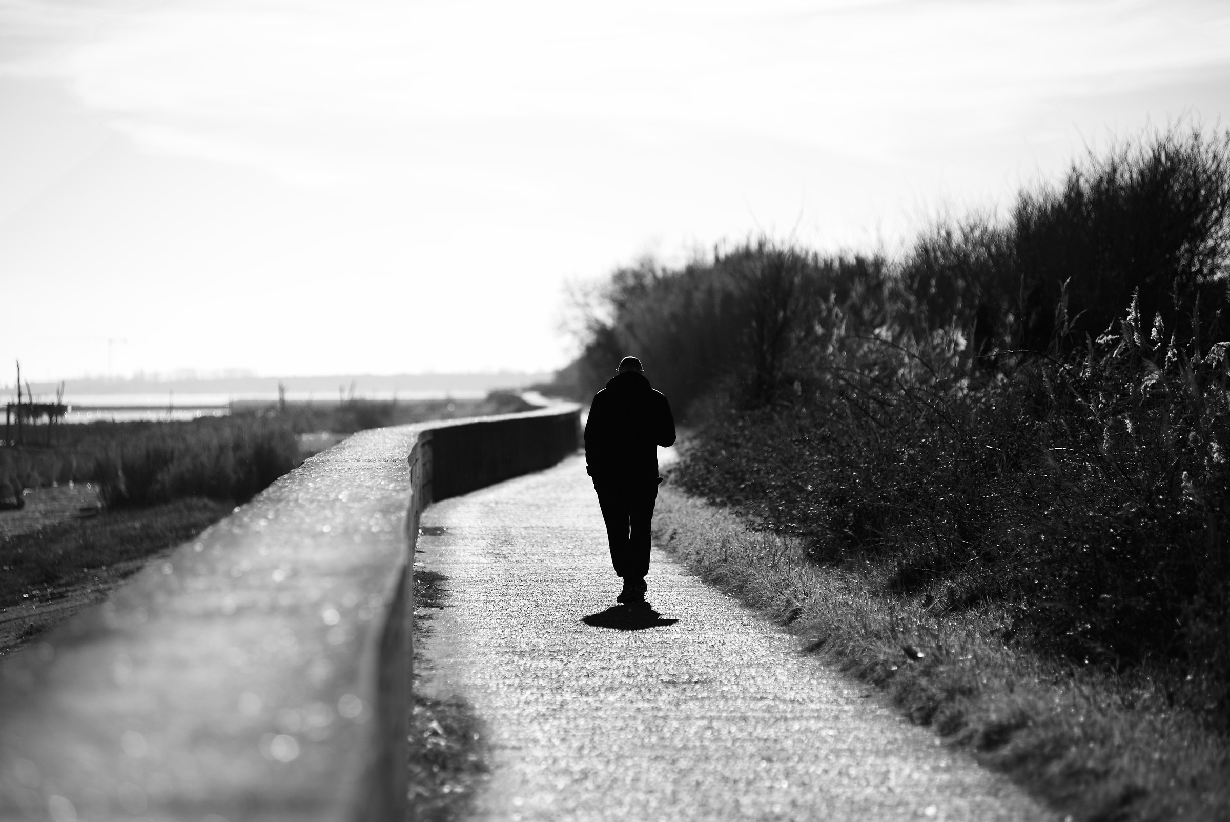 sunny winter venice lido