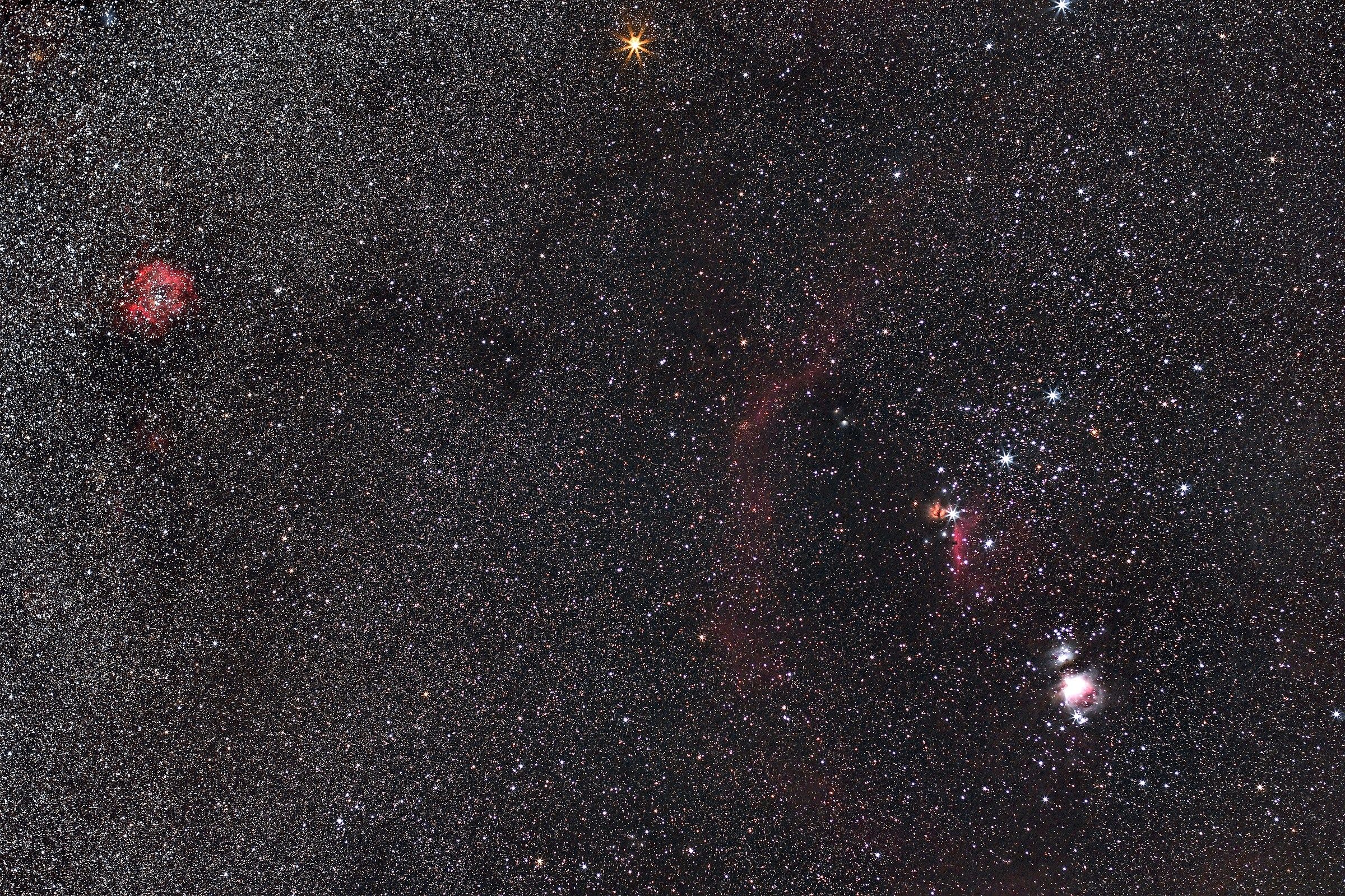 Orione e Rosetta di Natale!