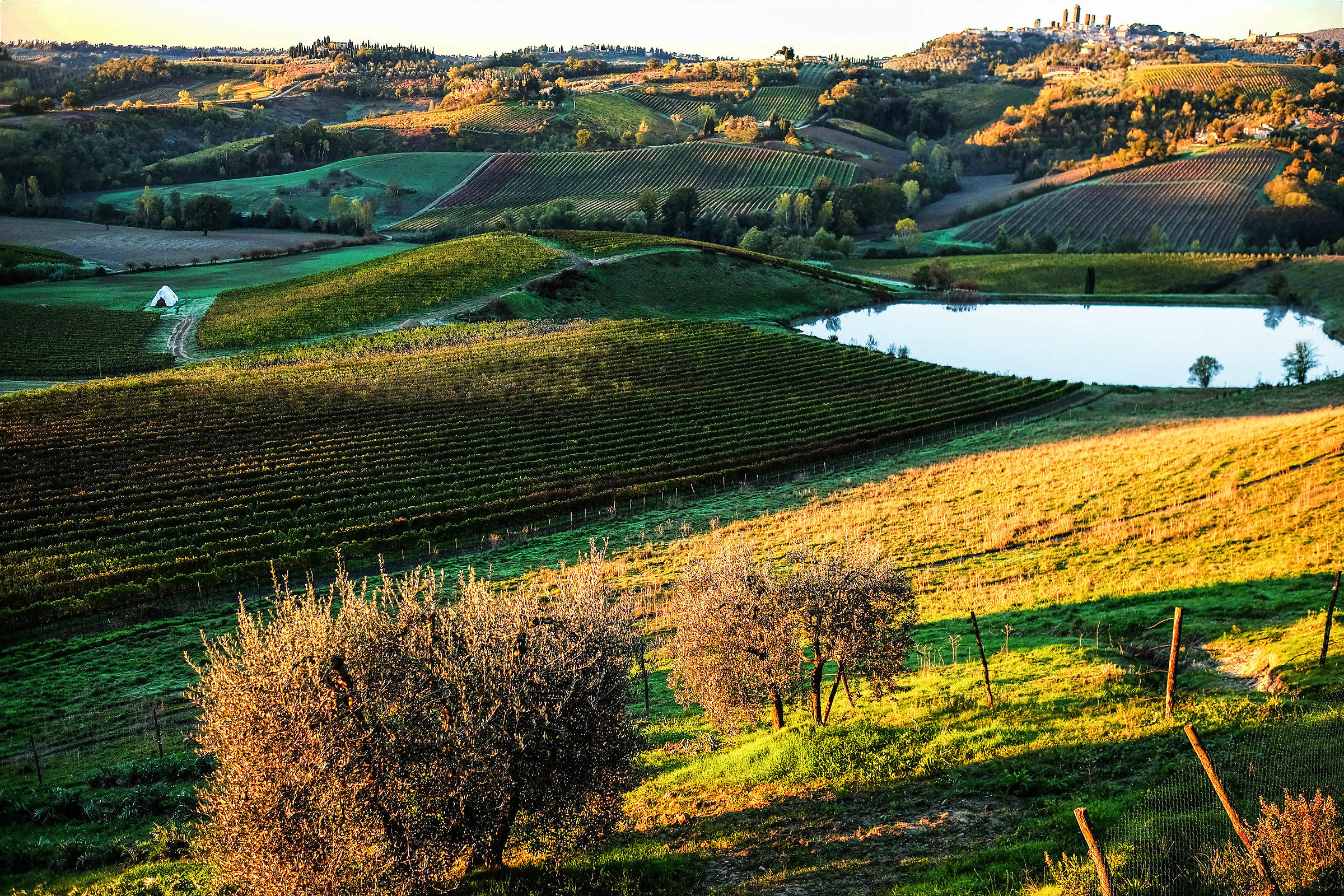Alba from Poggio Alloro (San Gimignano) 2