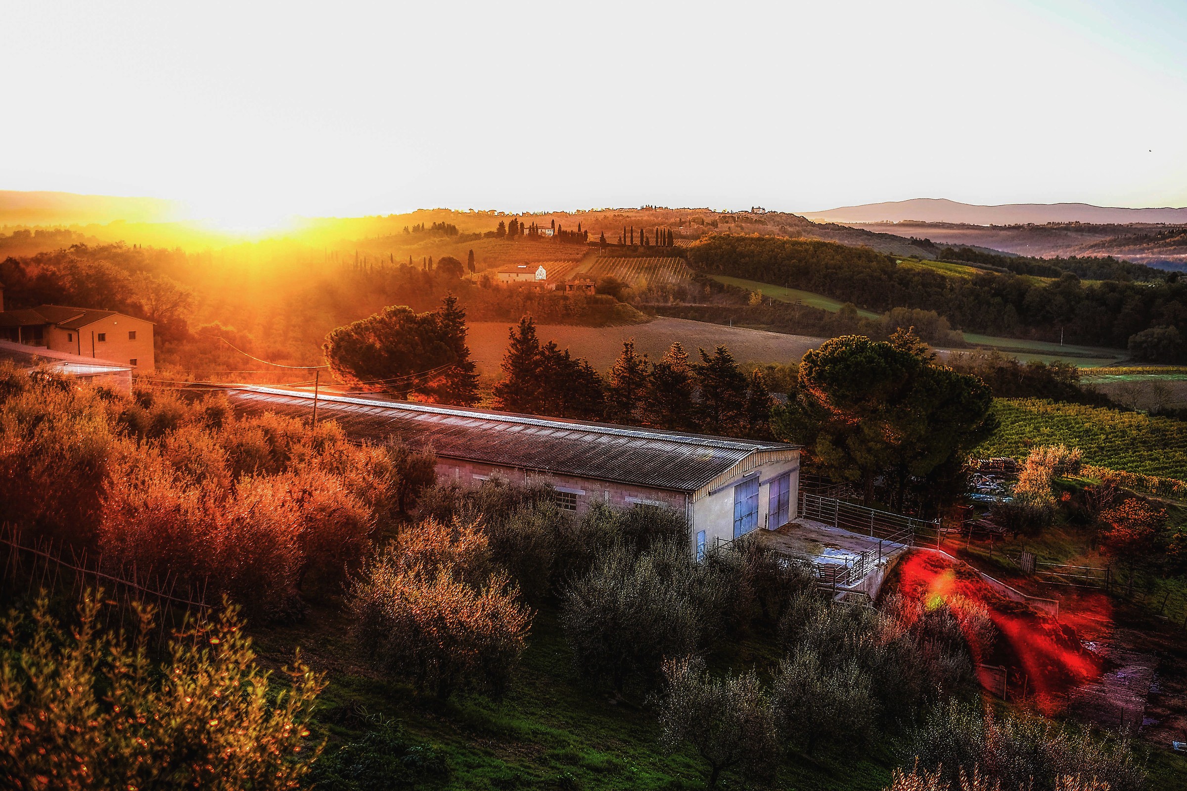 Alba from Poggio Alloro 3