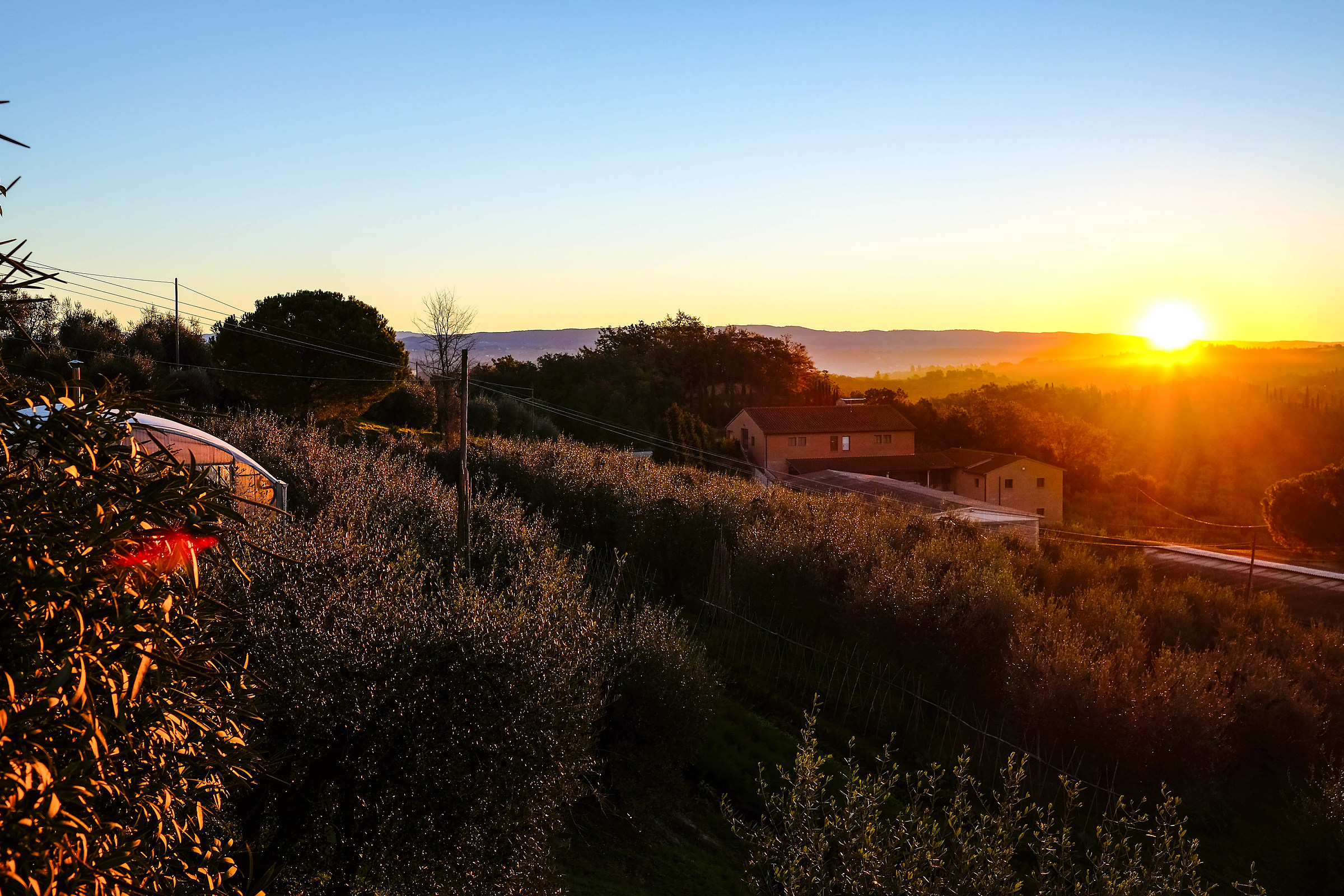 Alba from Poggio Alloro 4