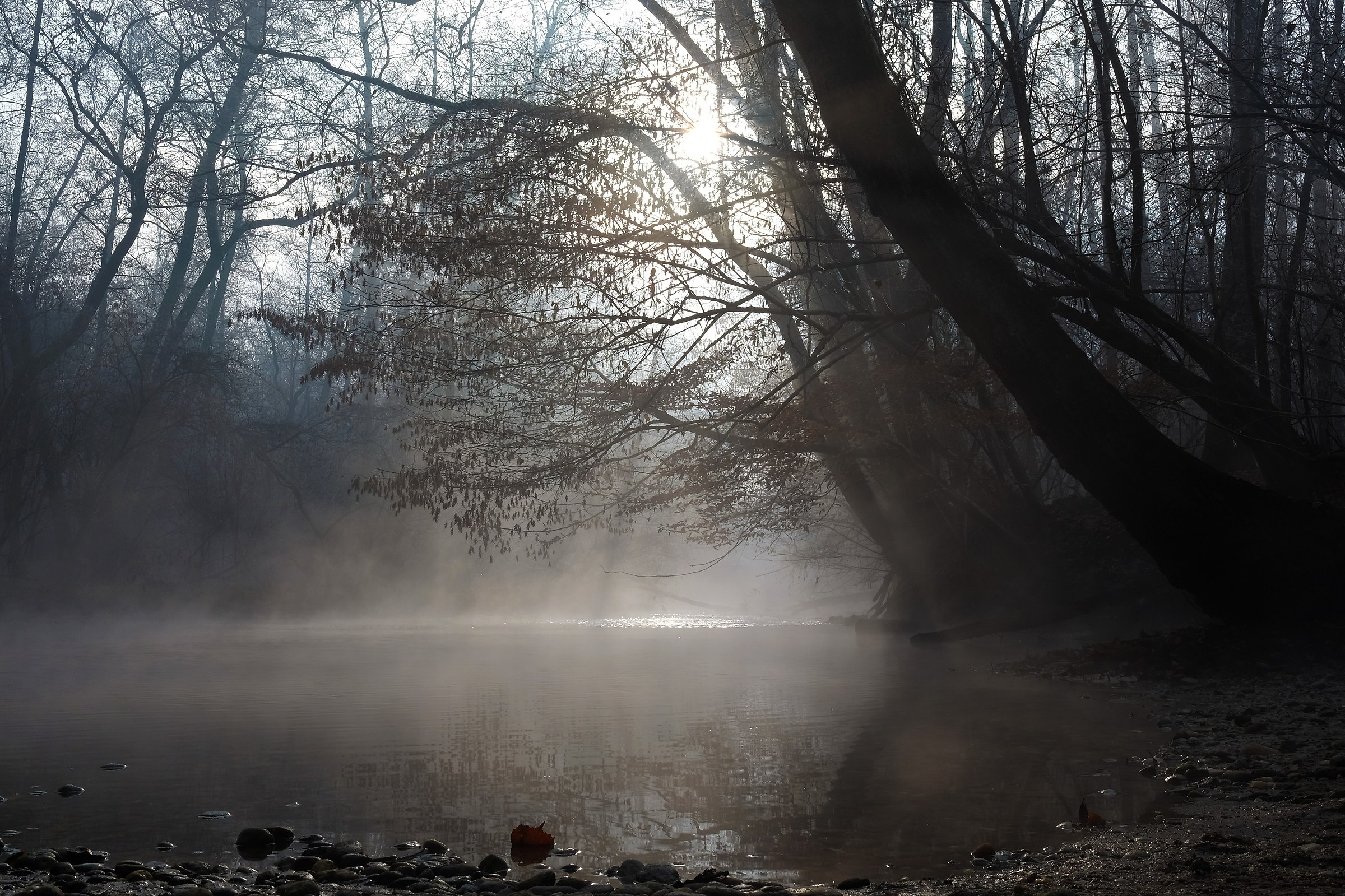 natural park 'The Fagiana'