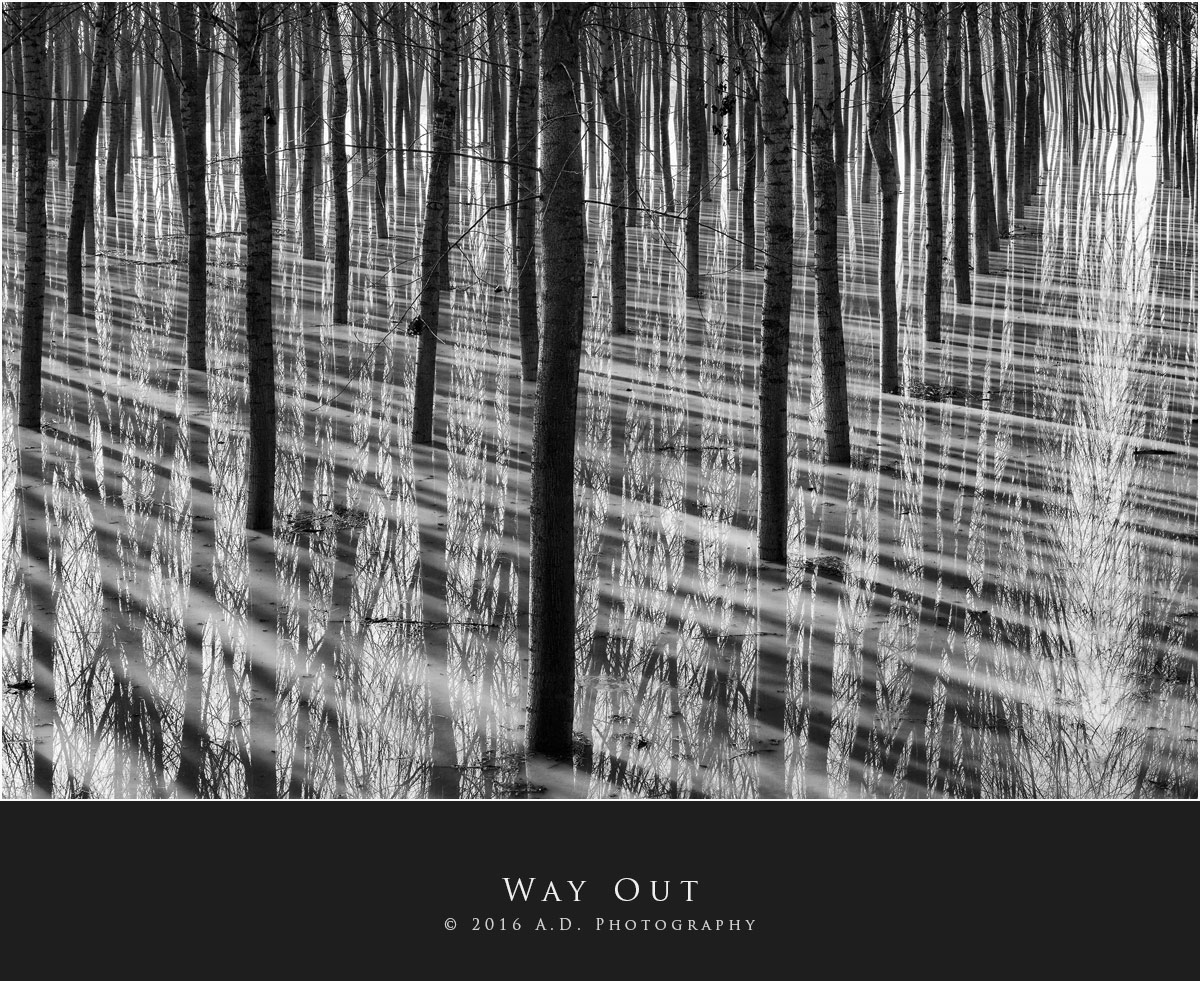 Way Out