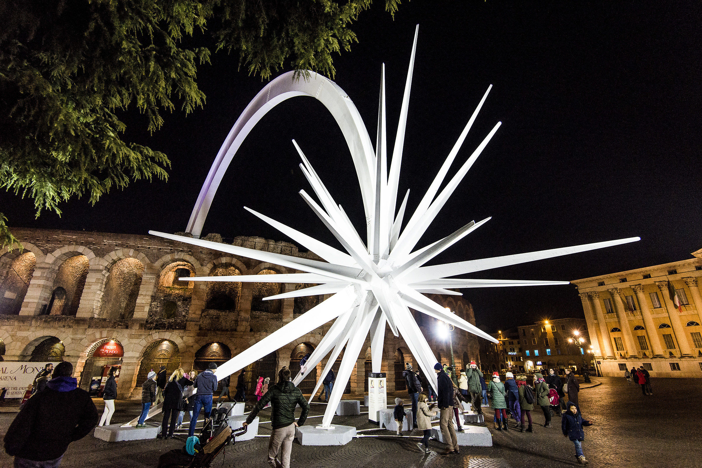 Christmas Star - Verona