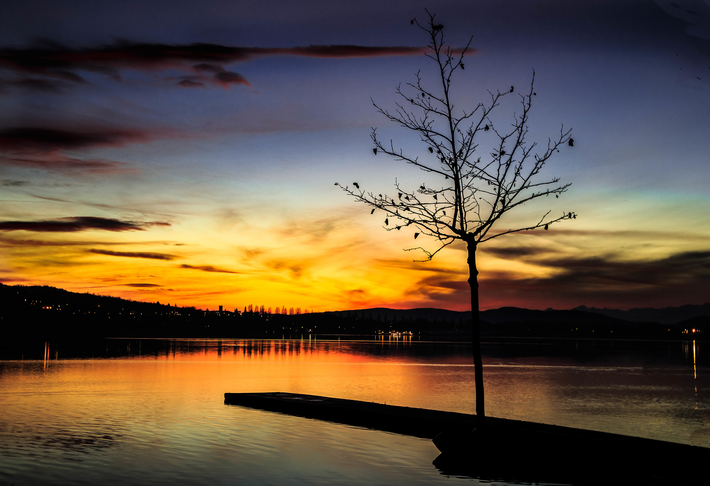 Ho piantato un albero.