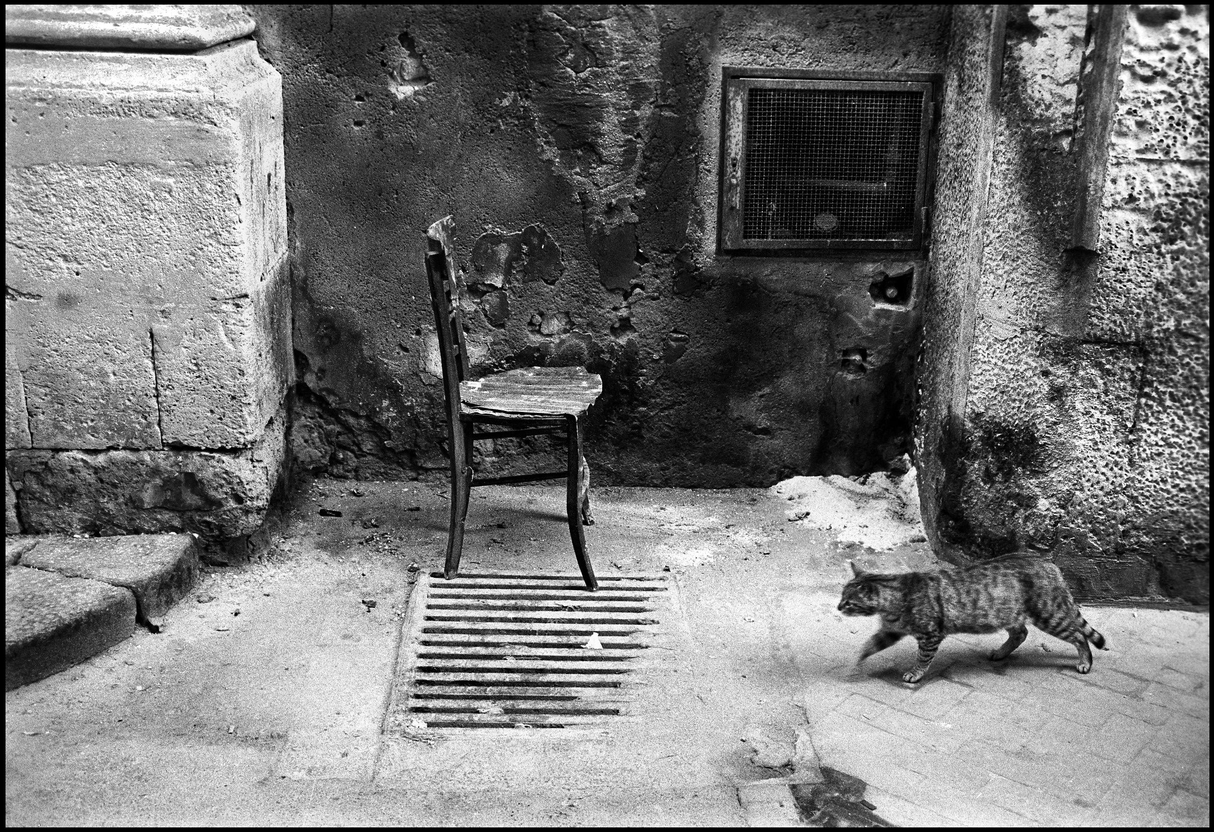 The Cat and the Chair - Syracuse 1995