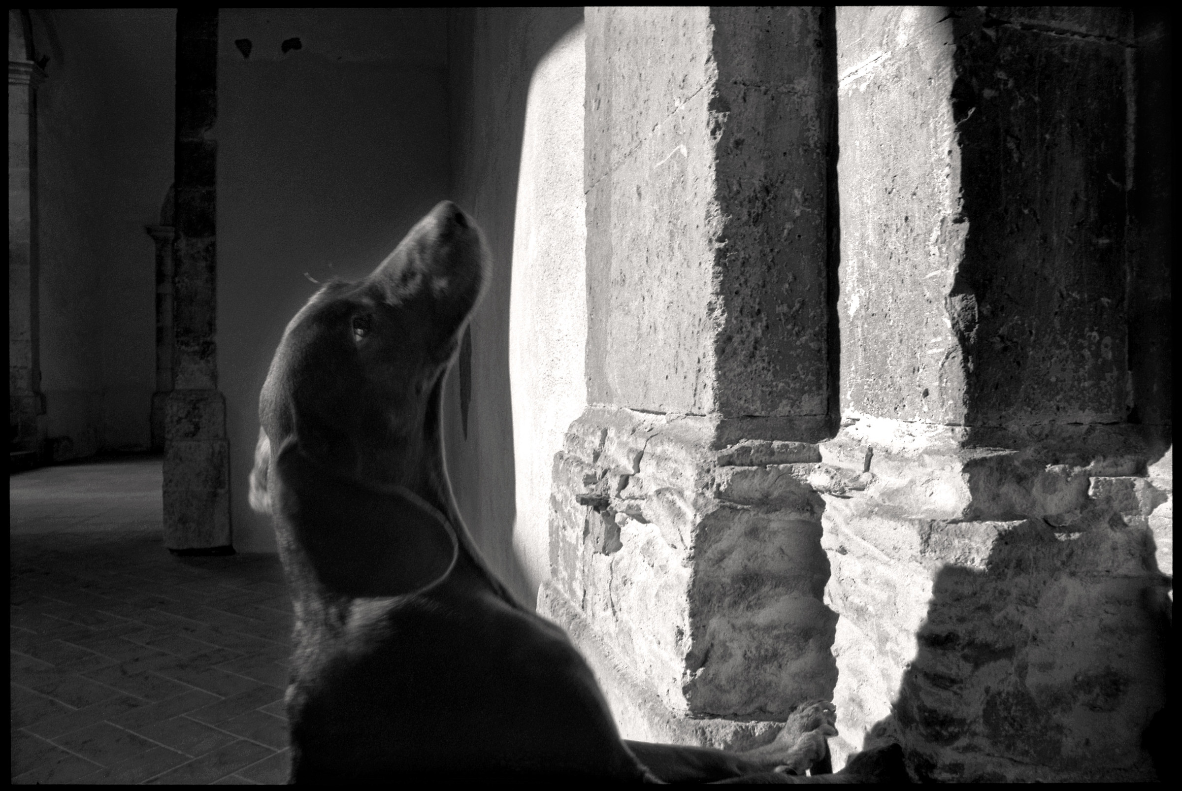 Diana - Siracusa 1996